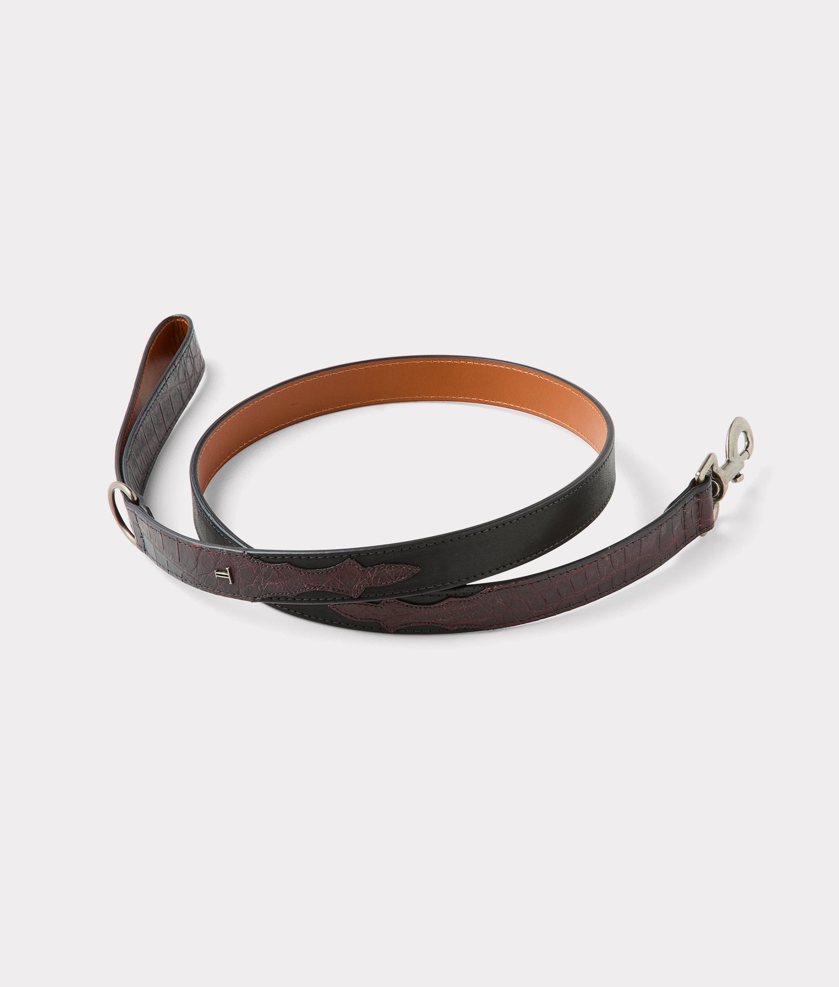 Dog Leash :: Black Cherry - Image 3