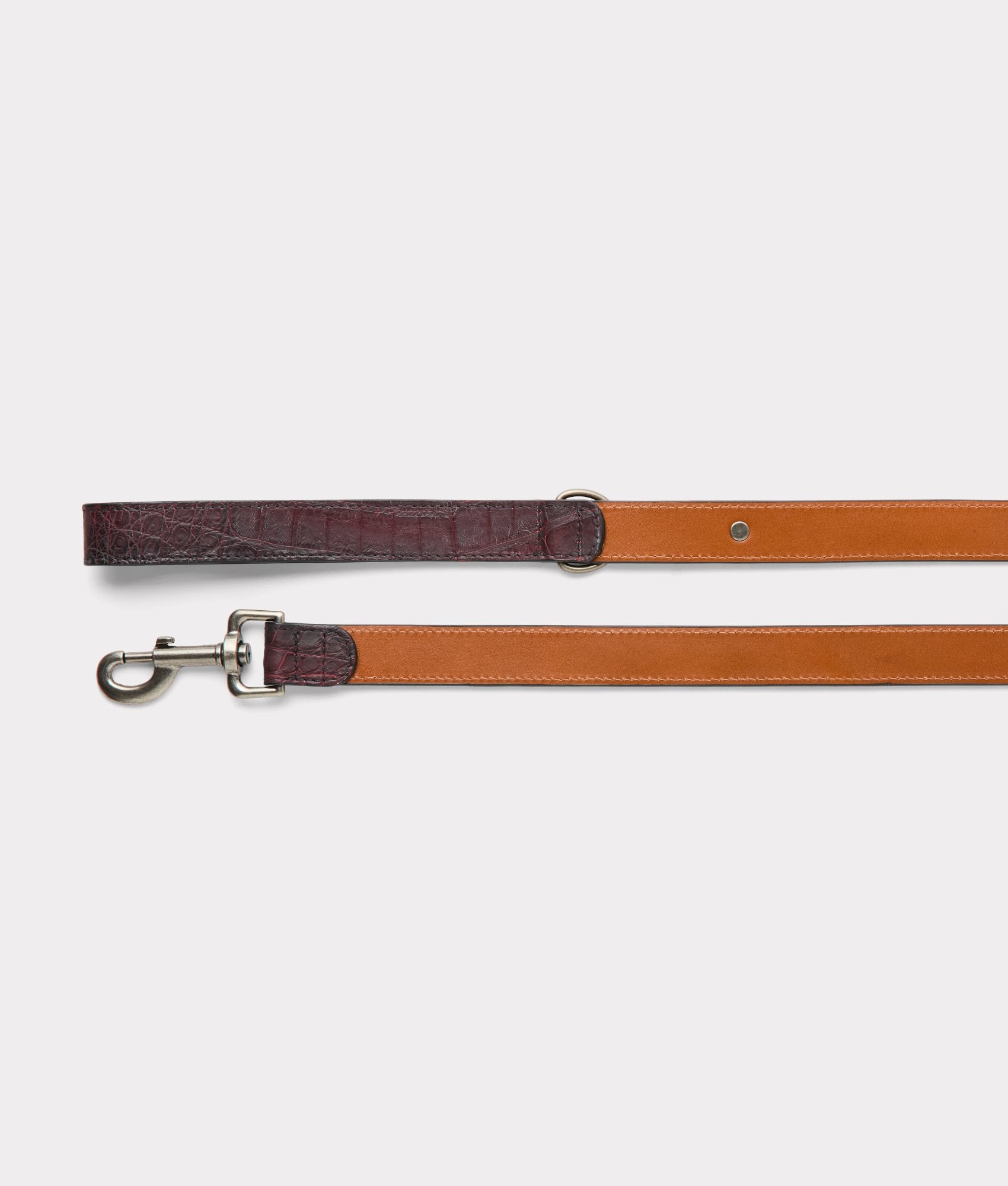 Dog Leash :: Black Cherry - Image 2