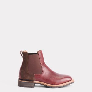 Rex :: Black Cherry