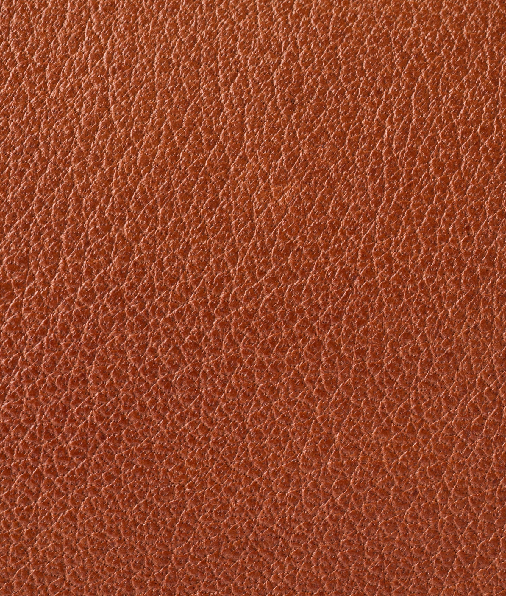Bridget Long Wallet On A Chain :: Brown - Image 8