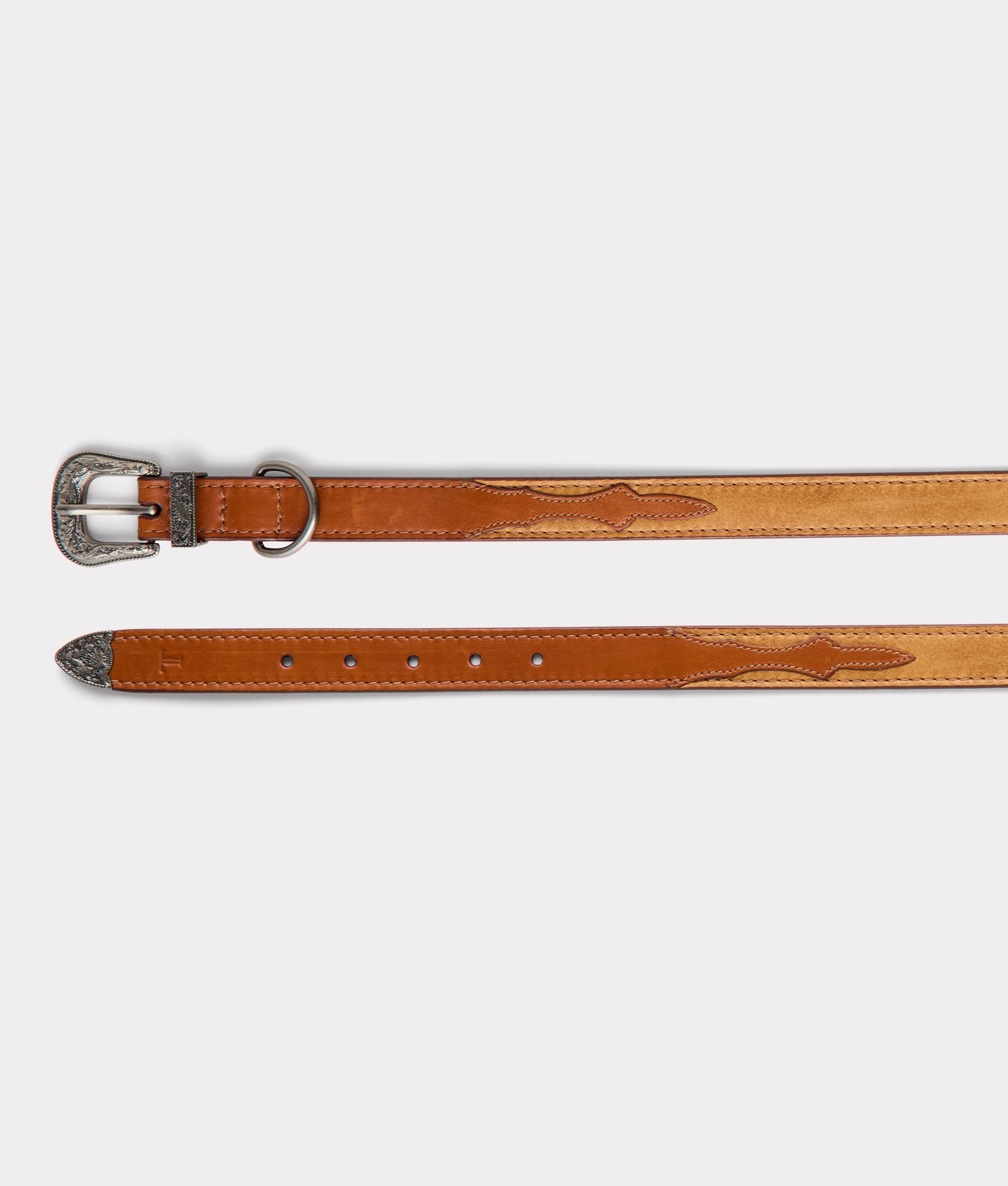Large Dog Collar :: Tan - Image 6