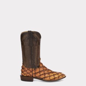Brooks :: Cognac + Chocolate