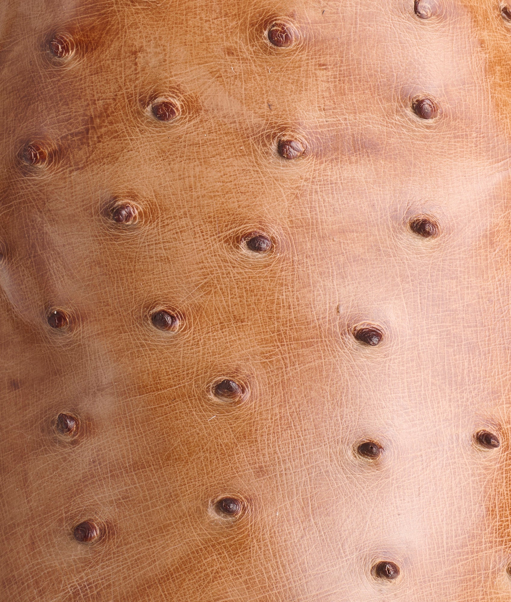 Harmon :: Barnwood + Tan - Image 12