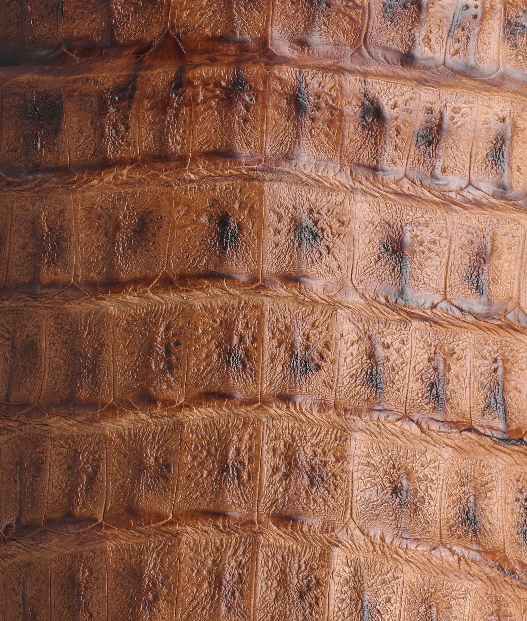 Fisher :: Tan + Chocolate - Image 9