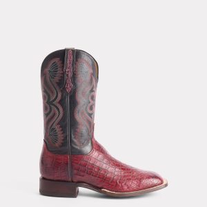 Roy :: Black Cherry + Black