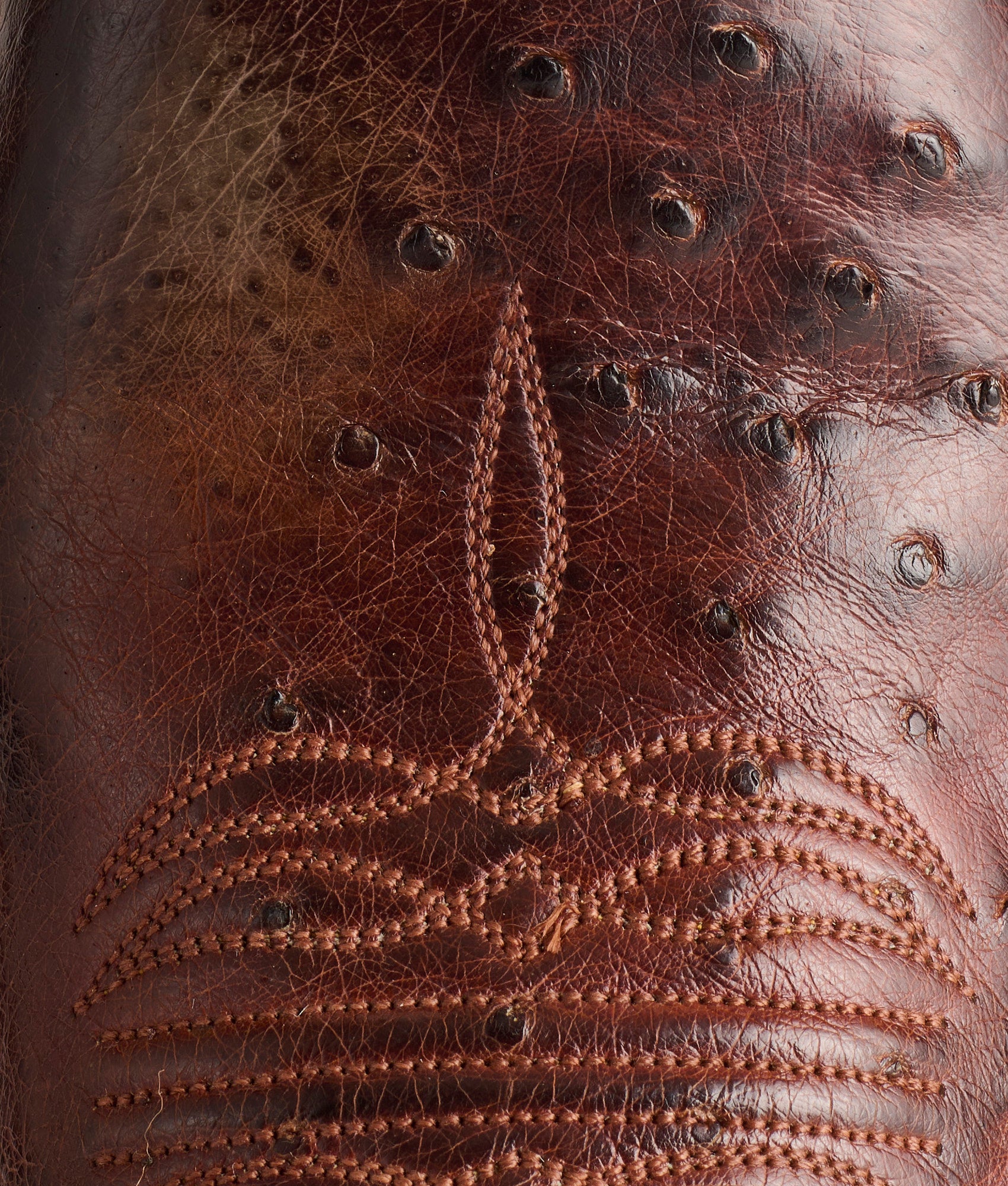 Cecil Exotic :: Sienna/Brown - Image 8