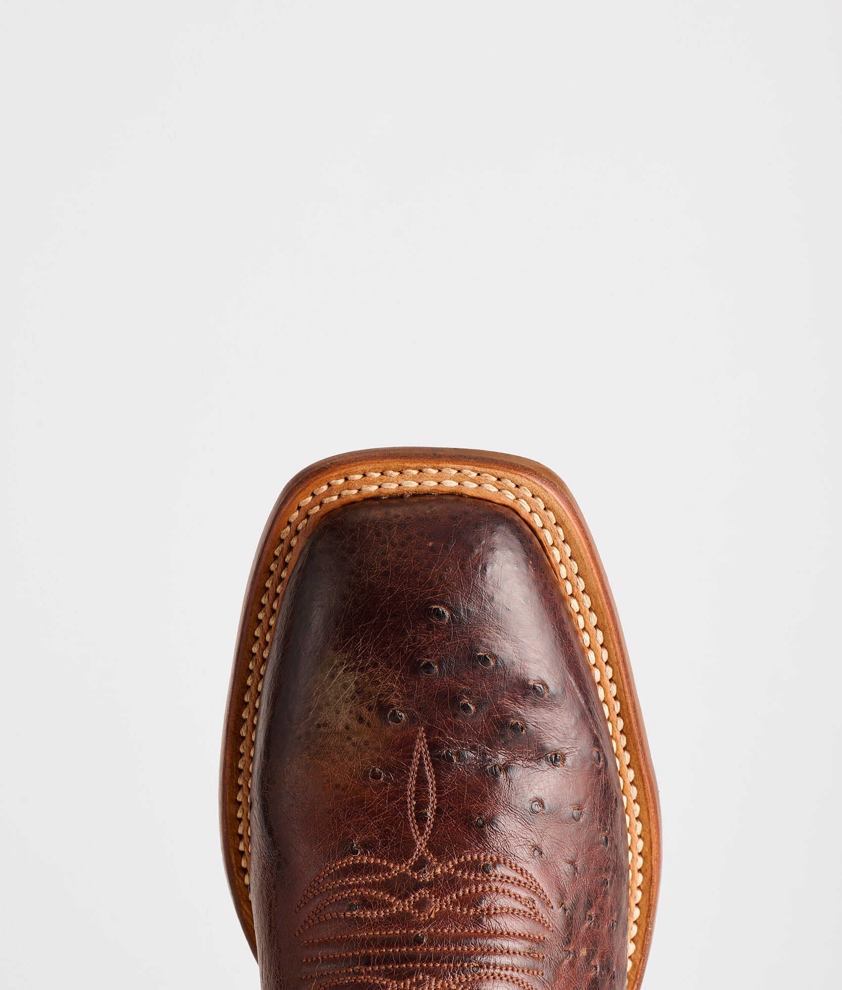 Cecil Exotic :: Sienna/Brown - Image 7