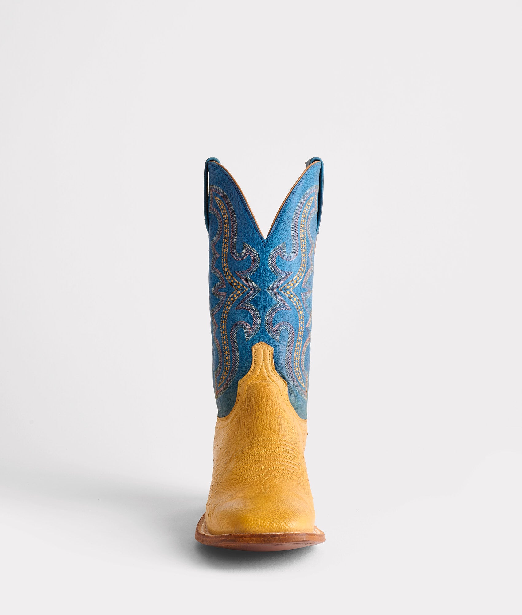 Cecil Exotic :: Saddle - Image 3