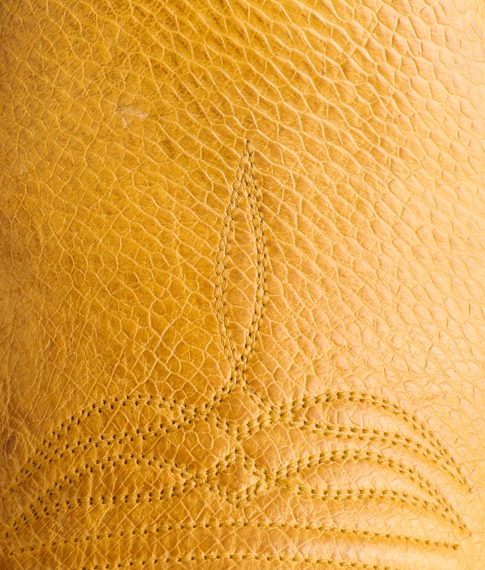 Cecil Exotic :: Saddle - Image 8