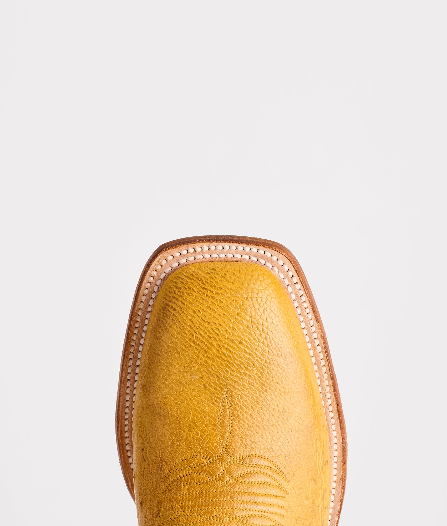 Cecil Exotic :: Saddle - Image 7