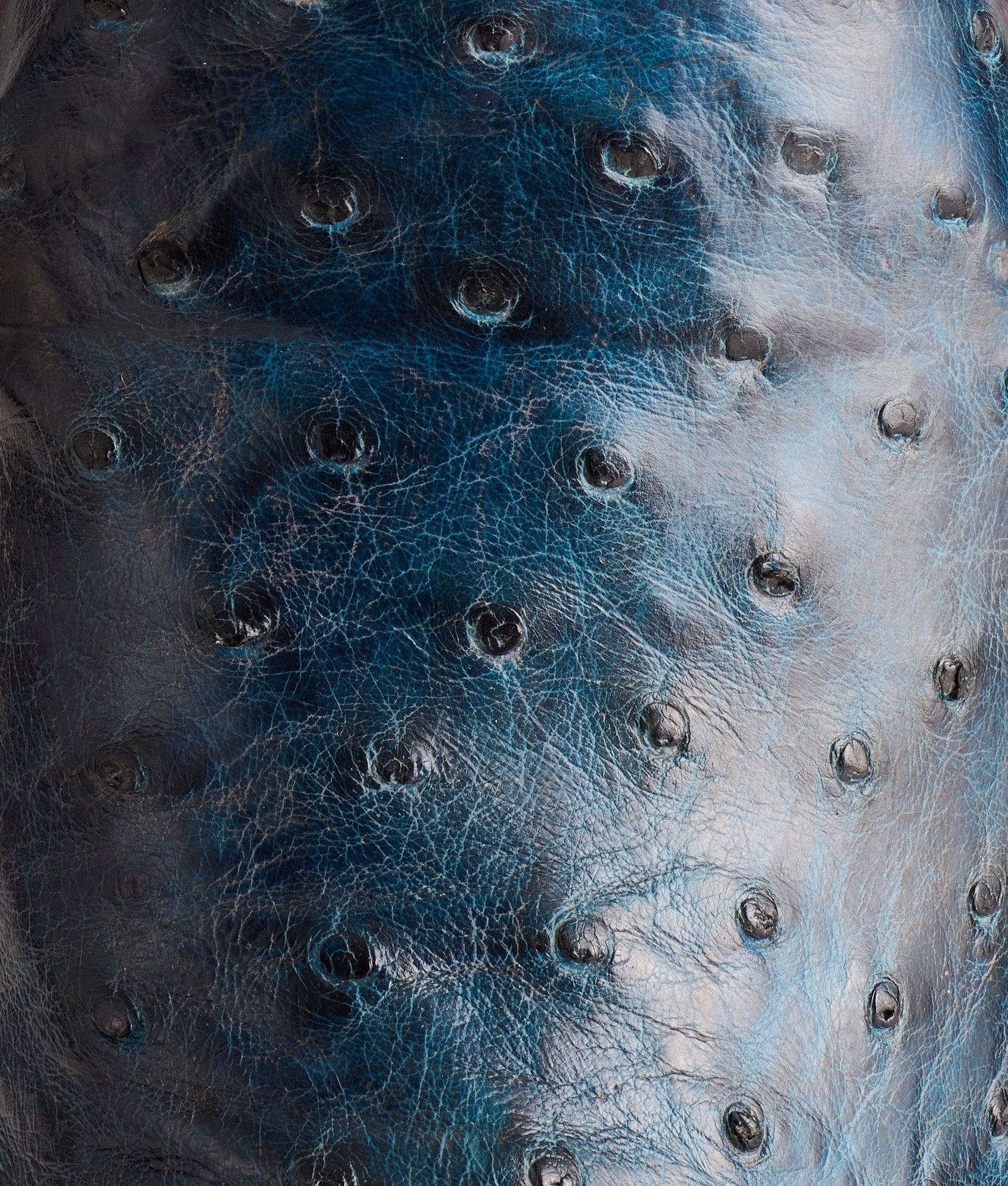 Cliff :: Navy + Chocolate - Image 8