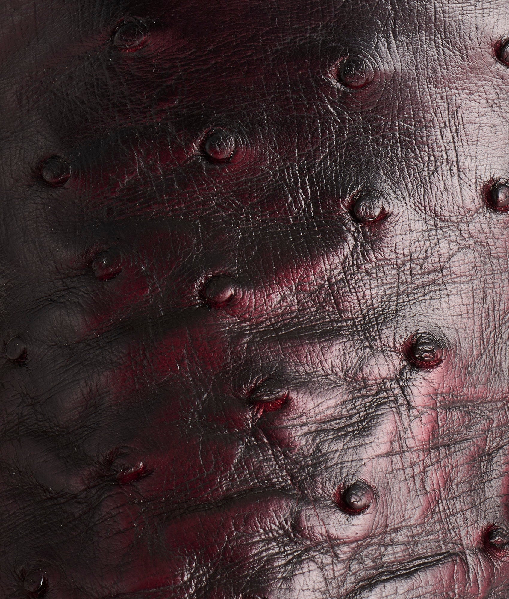 Cliff :: Black Cherry + Black - Image 14