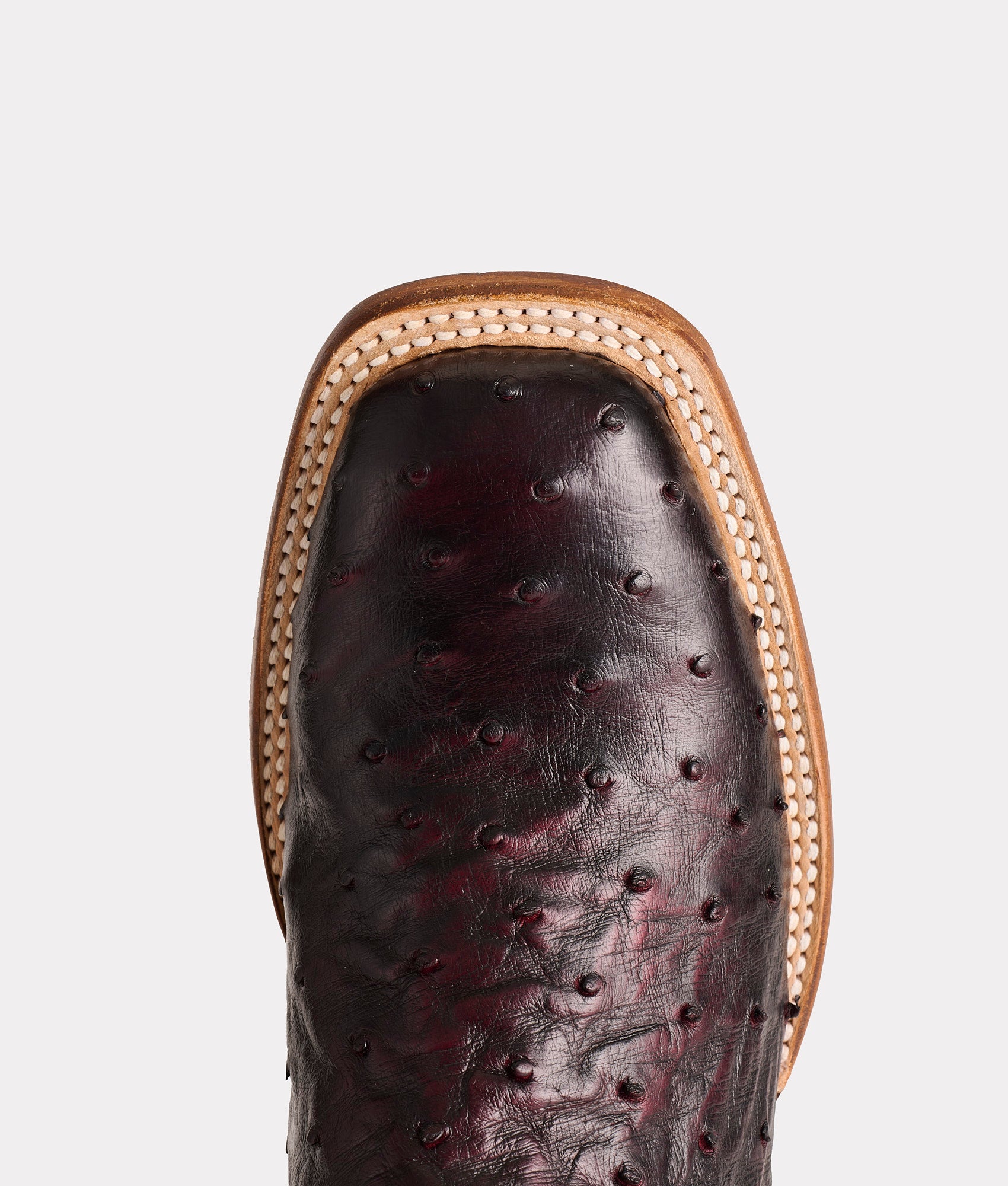 Cliff :: Black Cherry + Black - Image 12