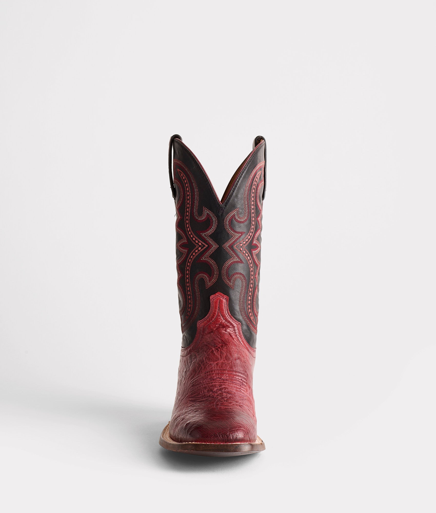 Cecil Exotic :: Black Cherry - Image 3