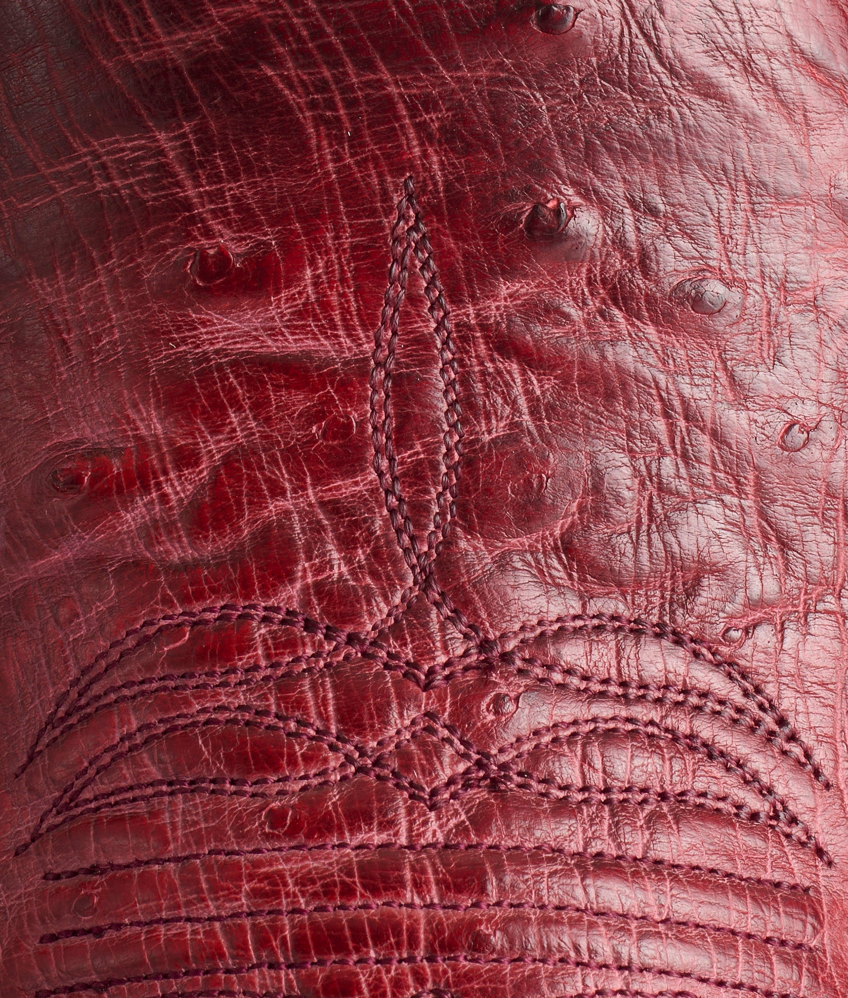 Cecil Exotic :: Black Cherry - Image 8
