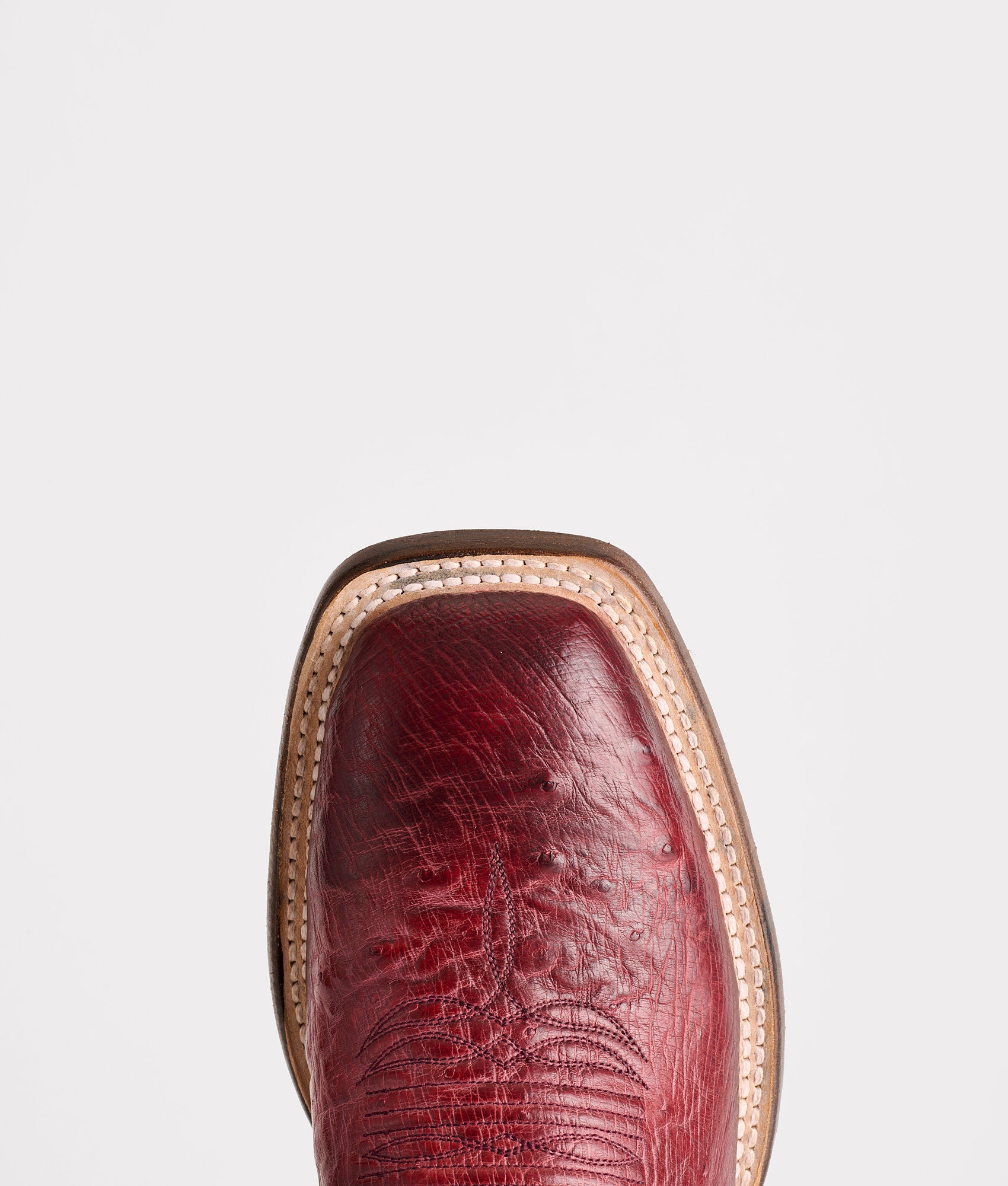Cecil Exotic :: Black Cherry - Image 7