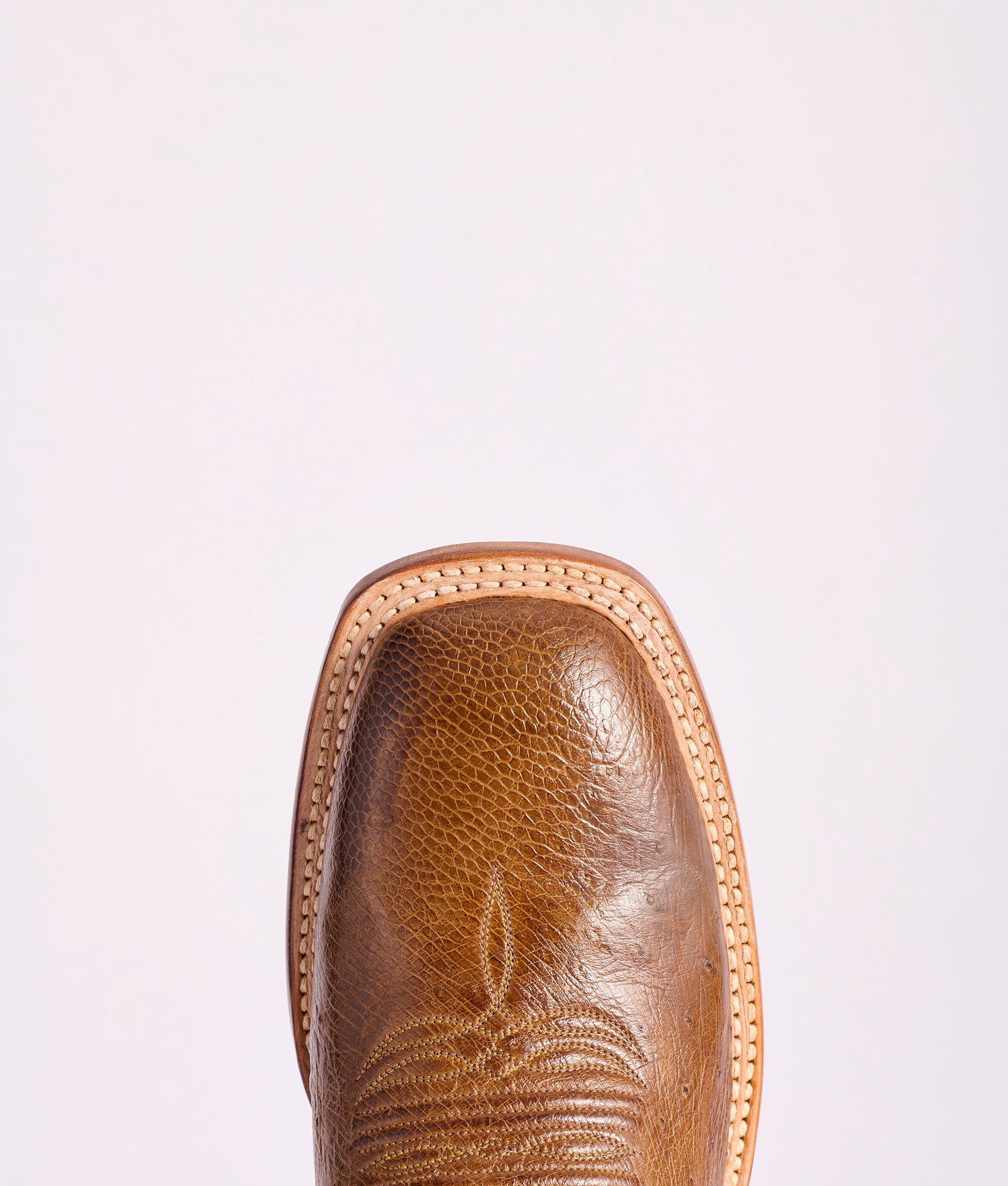 Cecil Exotic :: Sienna - Image 7