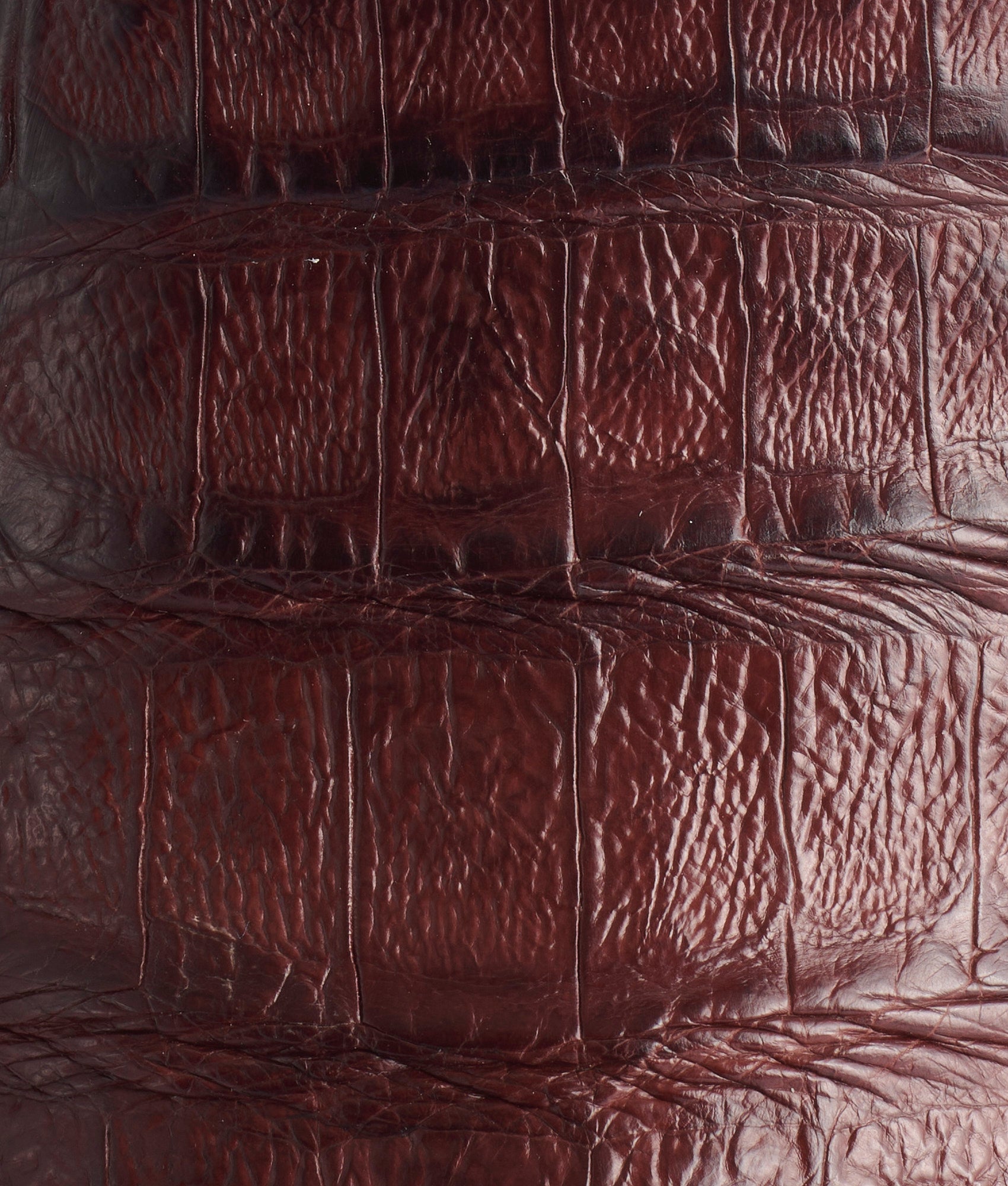 Cody:: Barrel Brown - Image 8