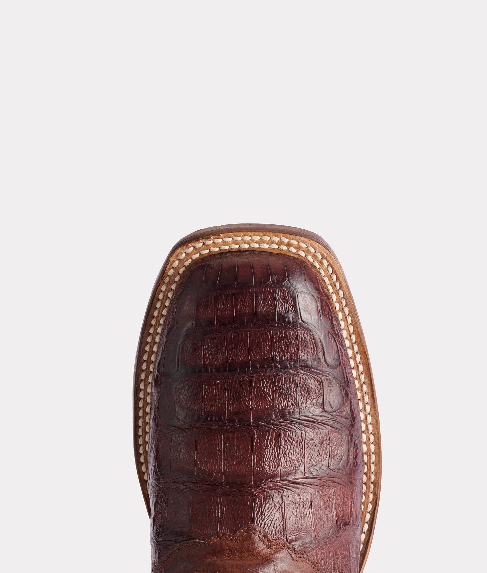 Cody:: Barrel Brown - Image 7