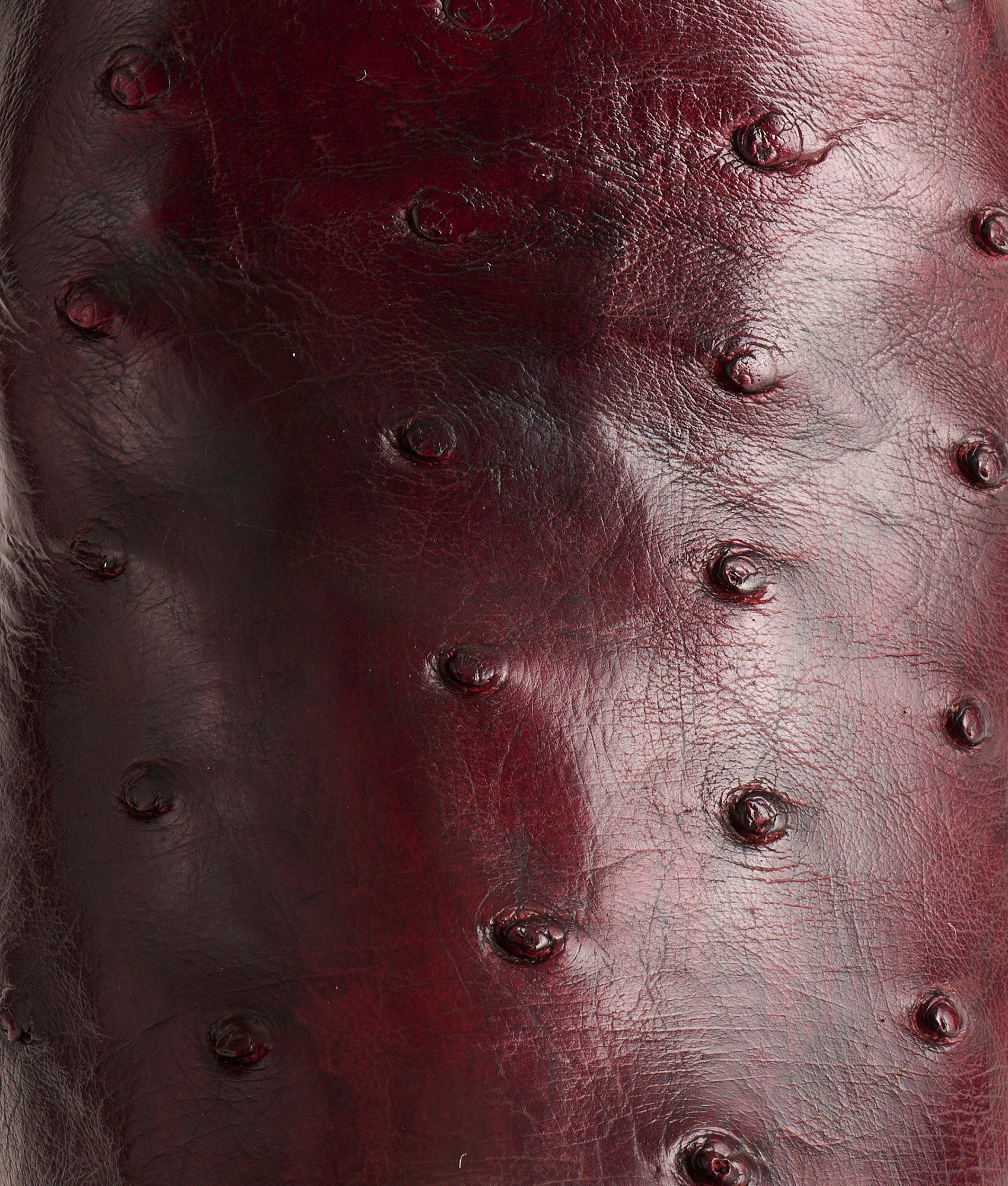 Josephine Horseman :: Antique Black Cherry - Image 8
