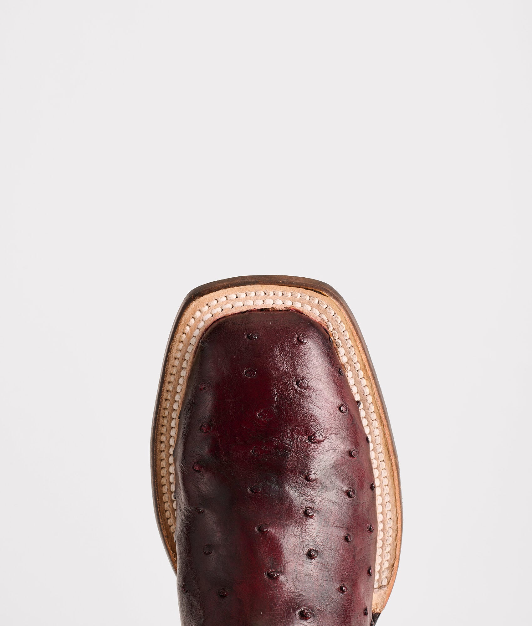 Josephine Horseman :: Antique Black Cherry - Image 7