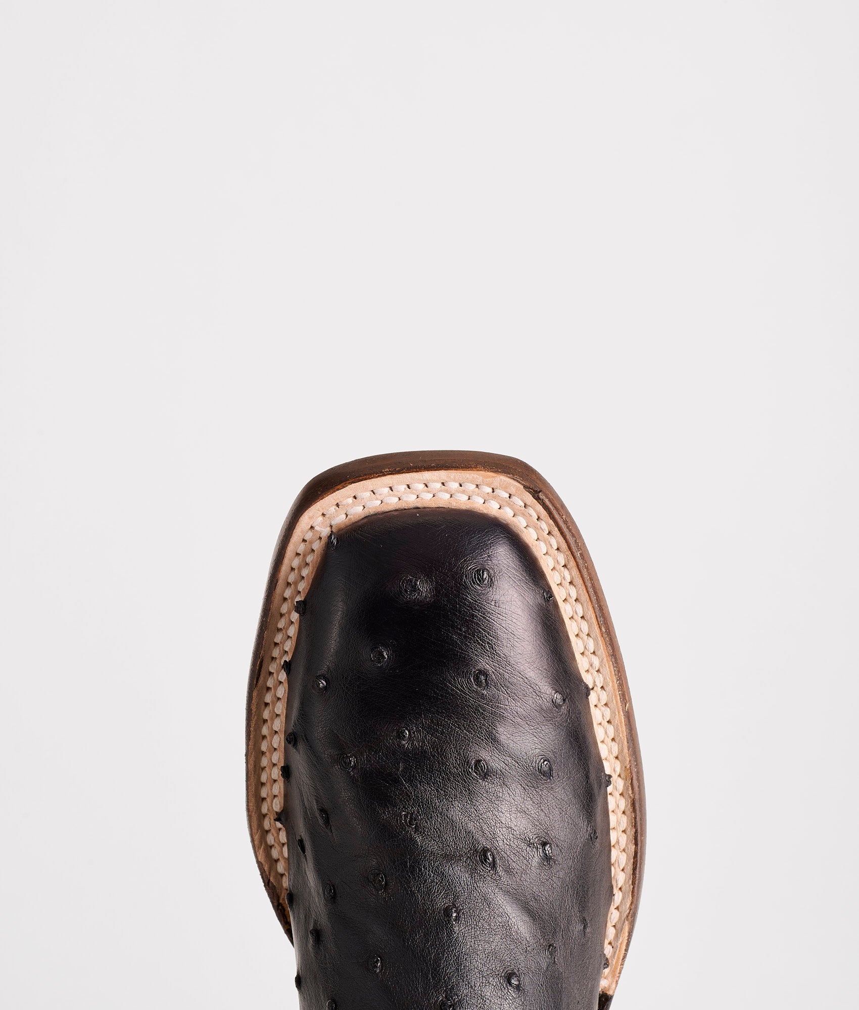 Josephine Horseman :: Antique Black - Image 7