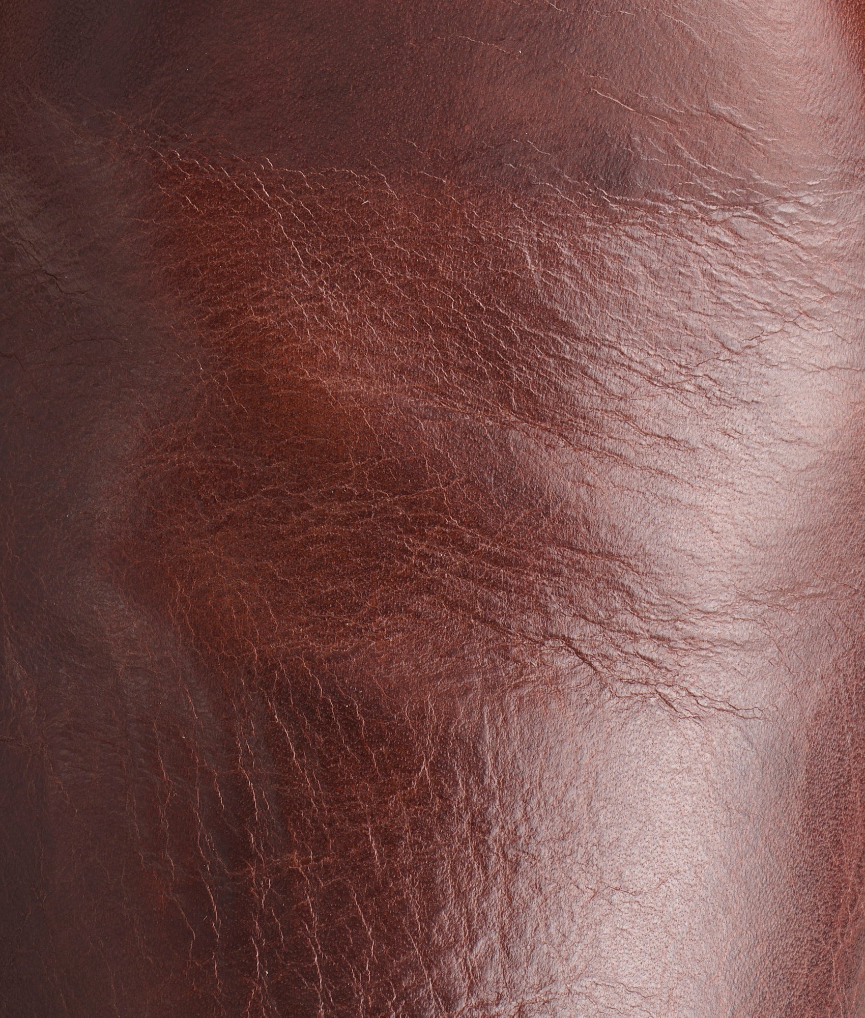 Sunset Roper :: Tan Ranch Hand - Image 8