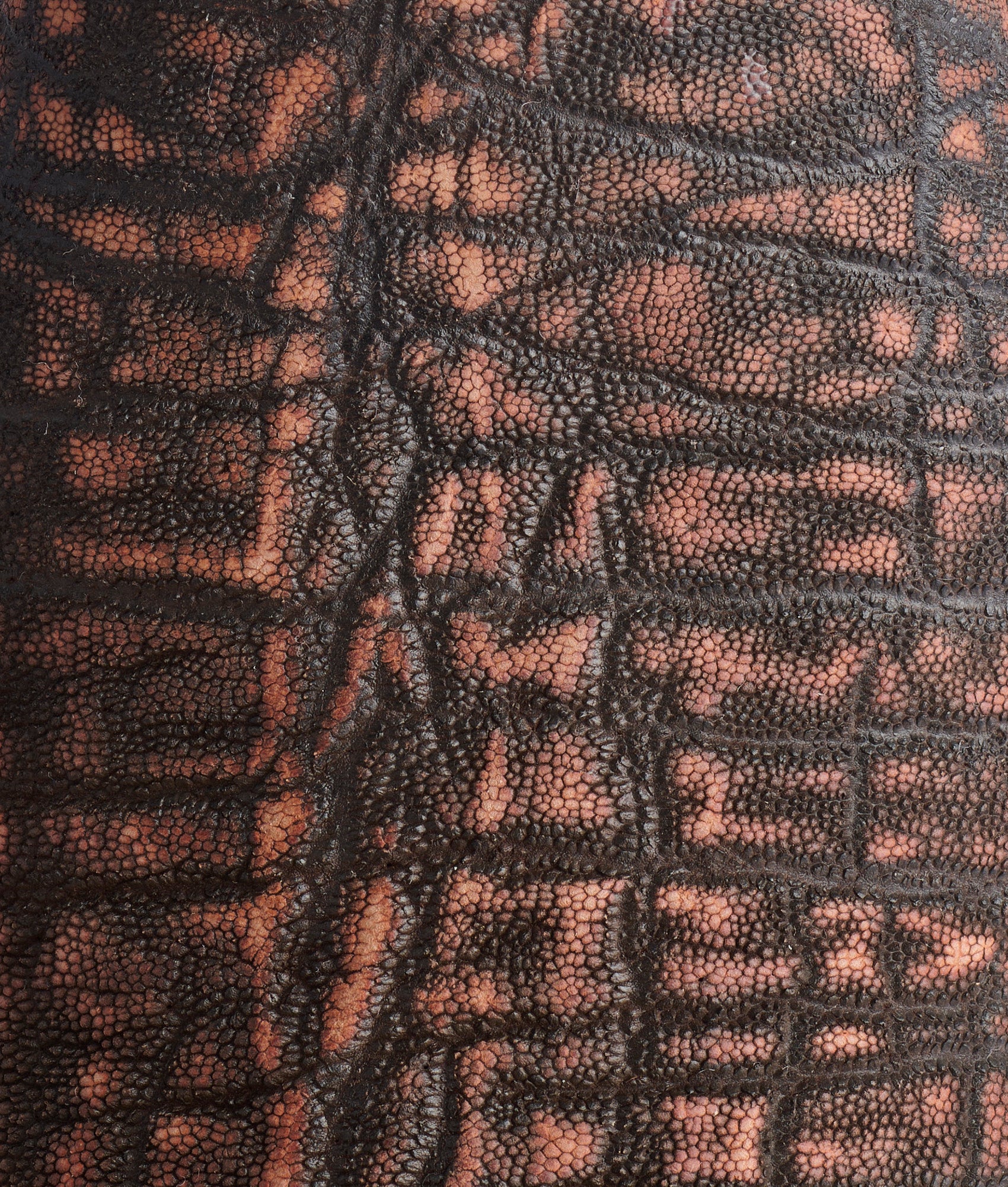Terlingua :: Cognac + Chocolate - Image 8