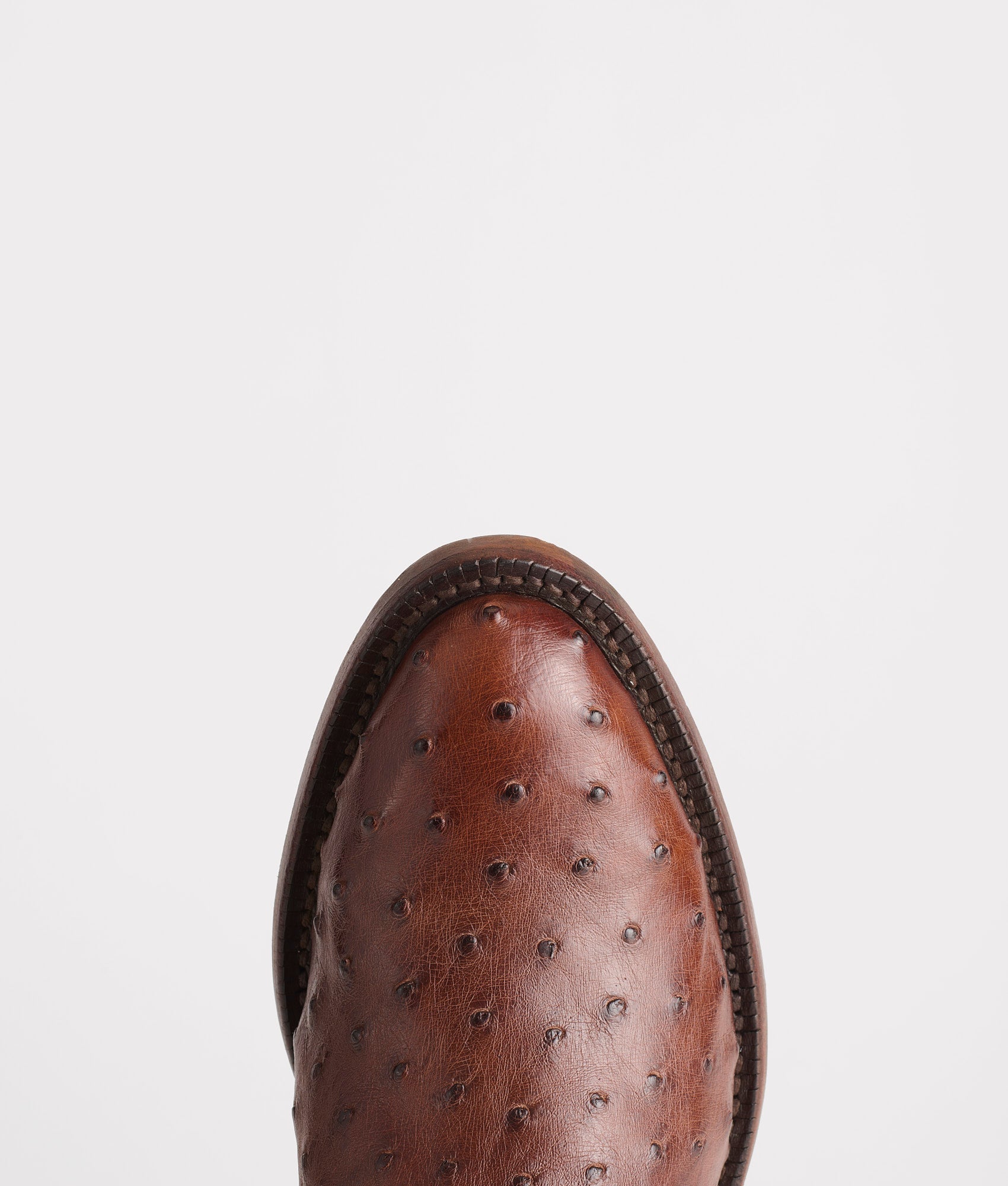 Randall :: Sienna + Pecan - Image 7