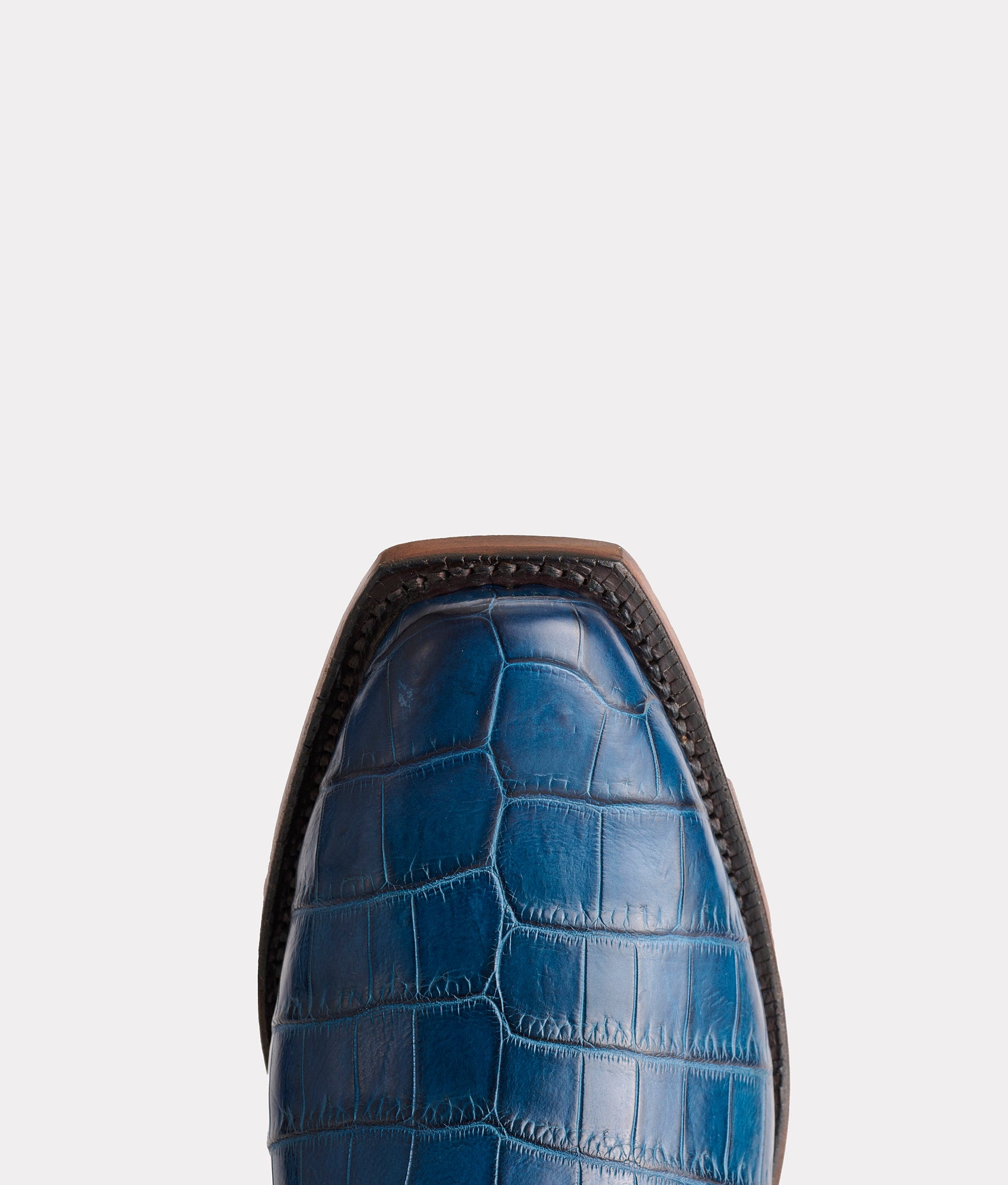 Tulip Exotic :: Navy - Image 6