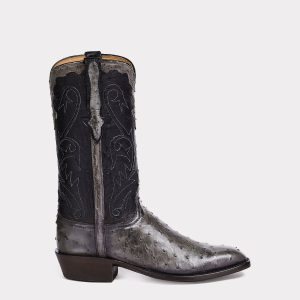 Bexar :: Anthracite Grey