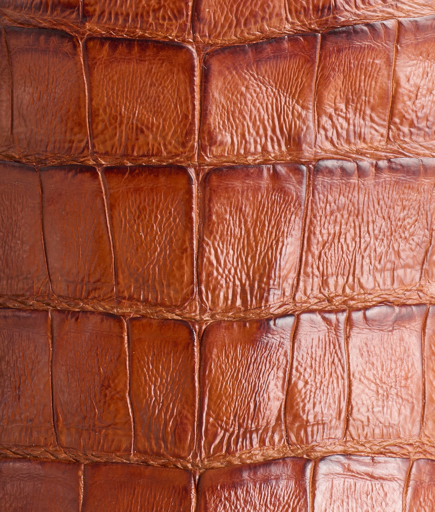 Jones :: Cognac - Image 8