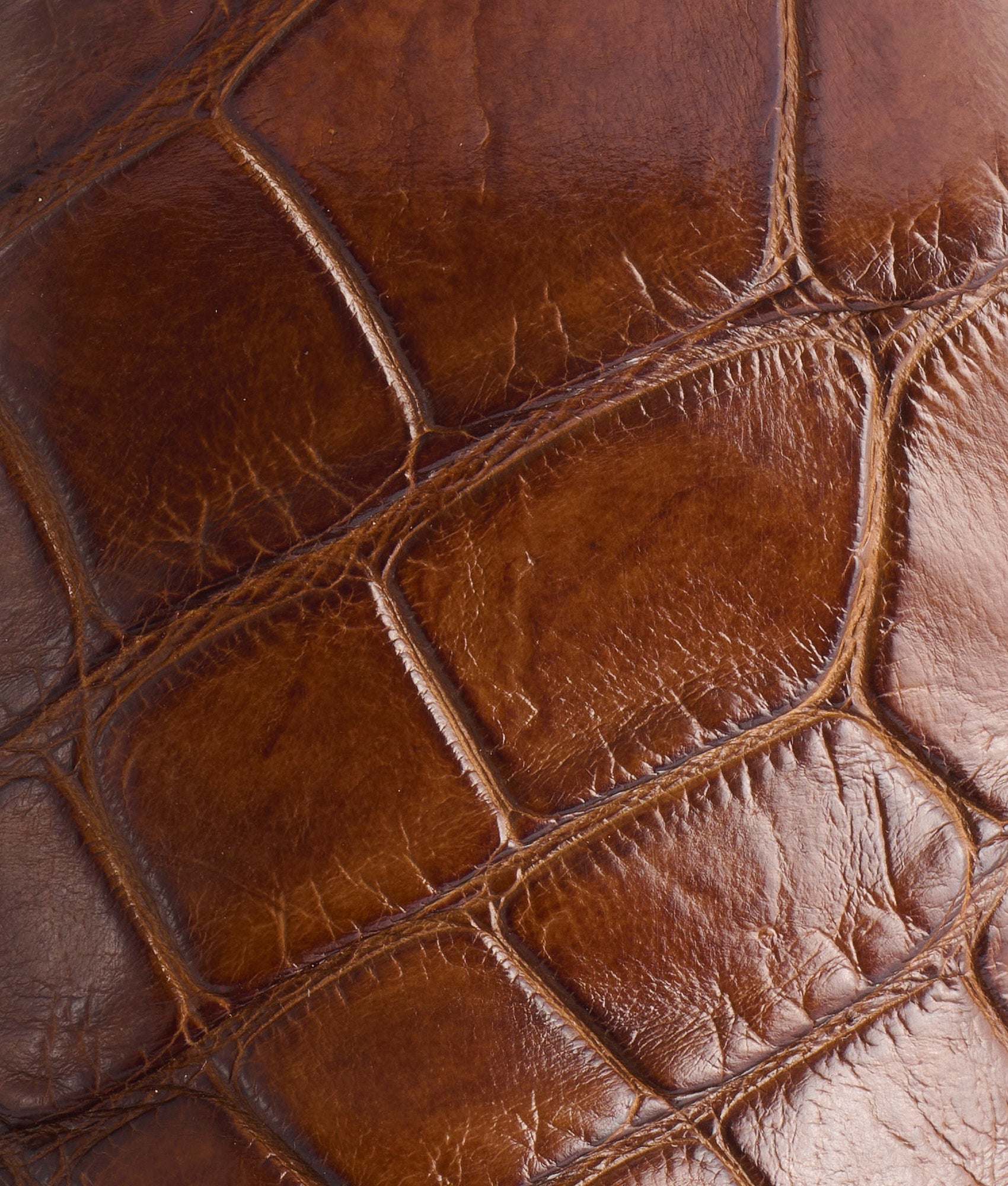 Naples. Texas :: Walnut - Image 7