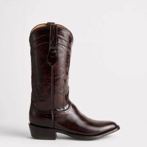 Gavin :: Brown