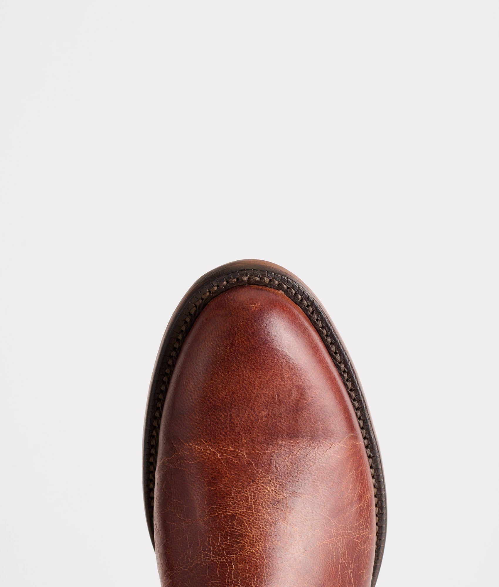 Tanner :: Peanut Brittle - Image 7