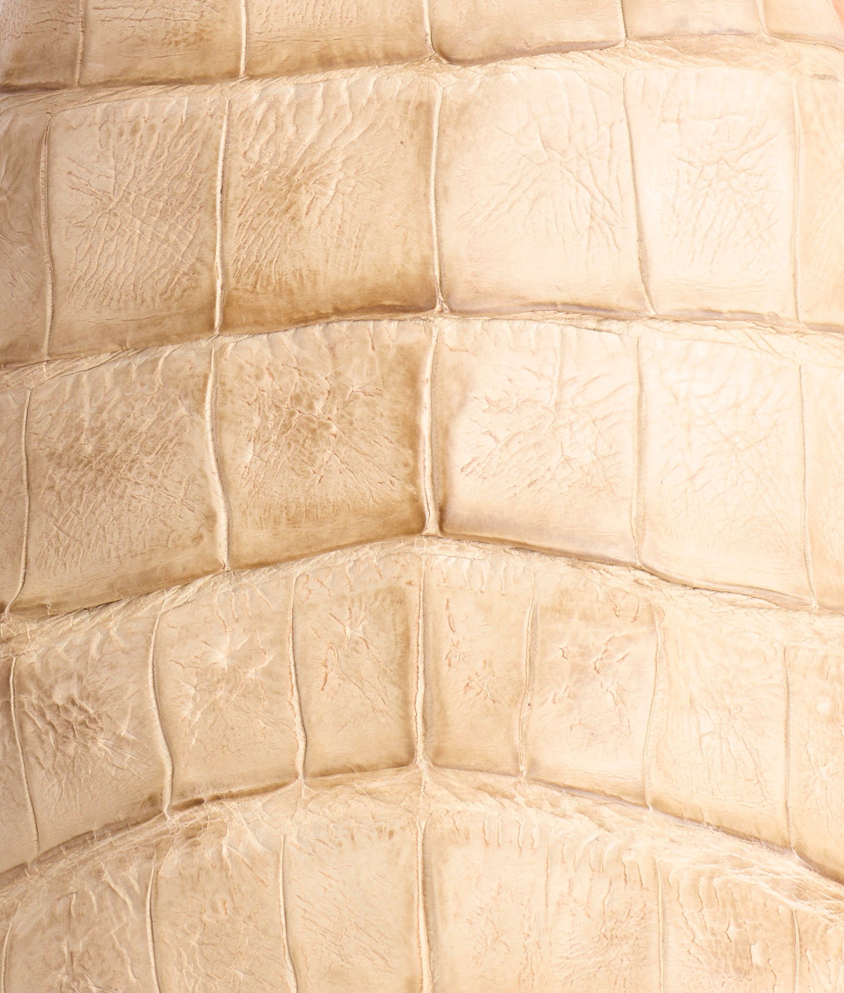 Presley Exotic :: Wheat - Image 9