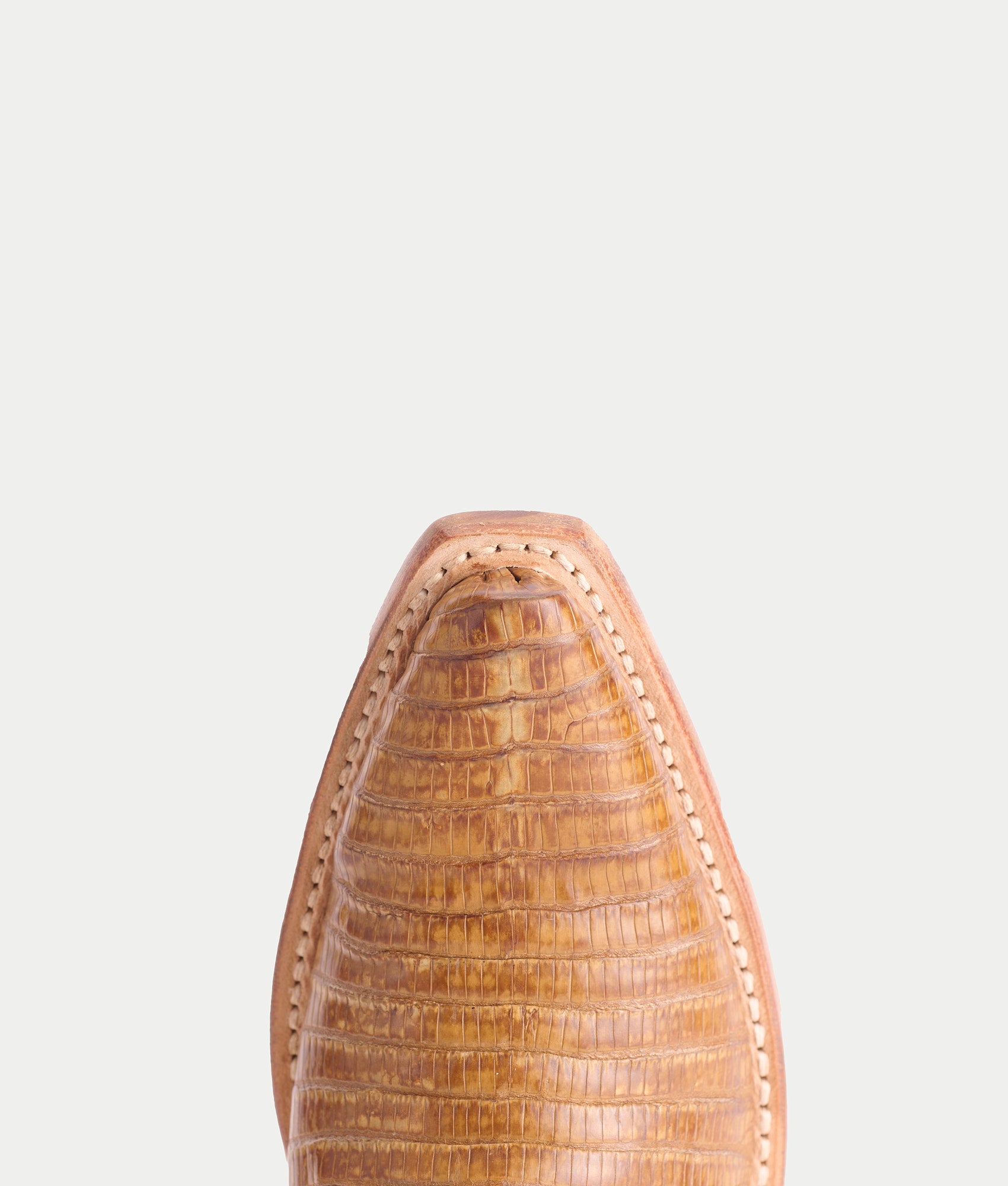 Dale Exotic :: Tan + Cream - Image 8