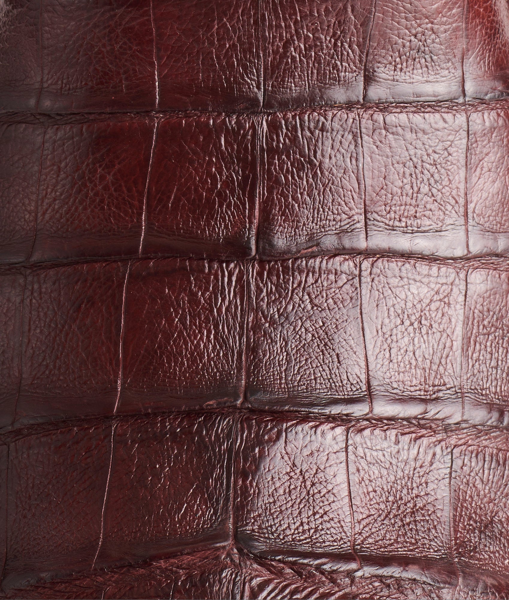 Dale Exotic :: Whiskey/Red - Image 7