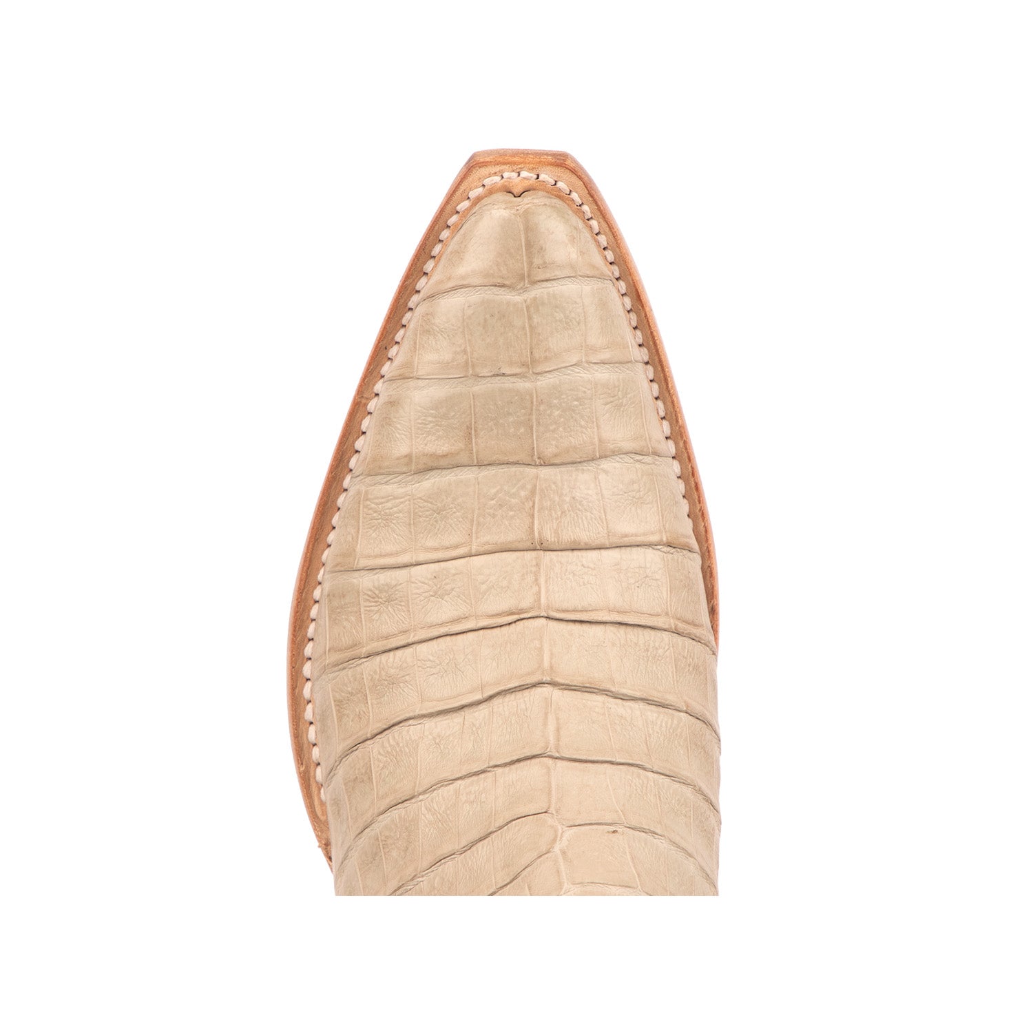 Dale Exotic :: Glitz Cream/Sage - Image 2
