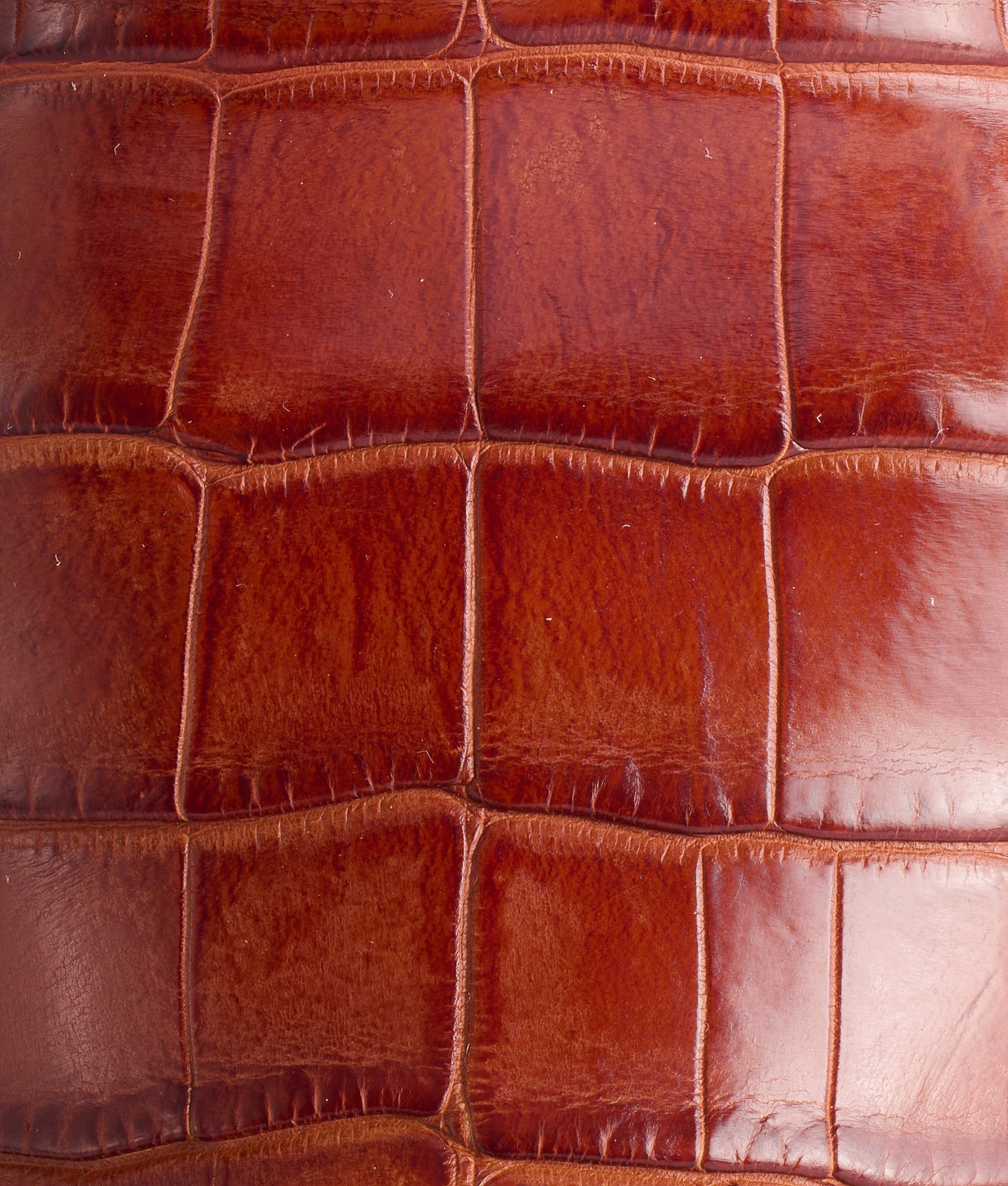 The Varsity :: Cognac - Image 8
