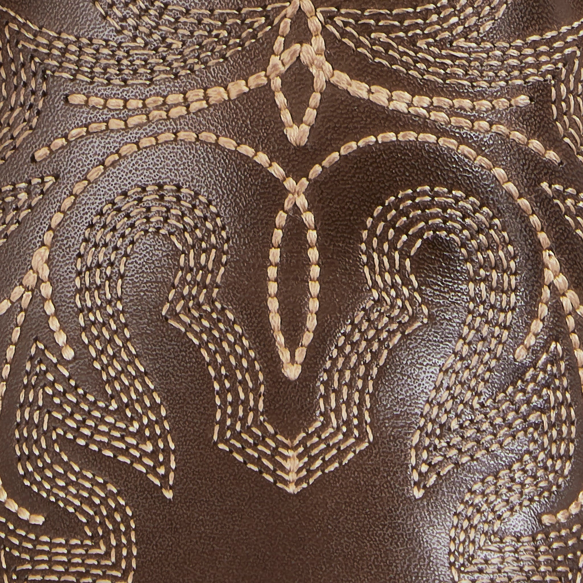 Kim Fancy :: Chocolate - Image 8