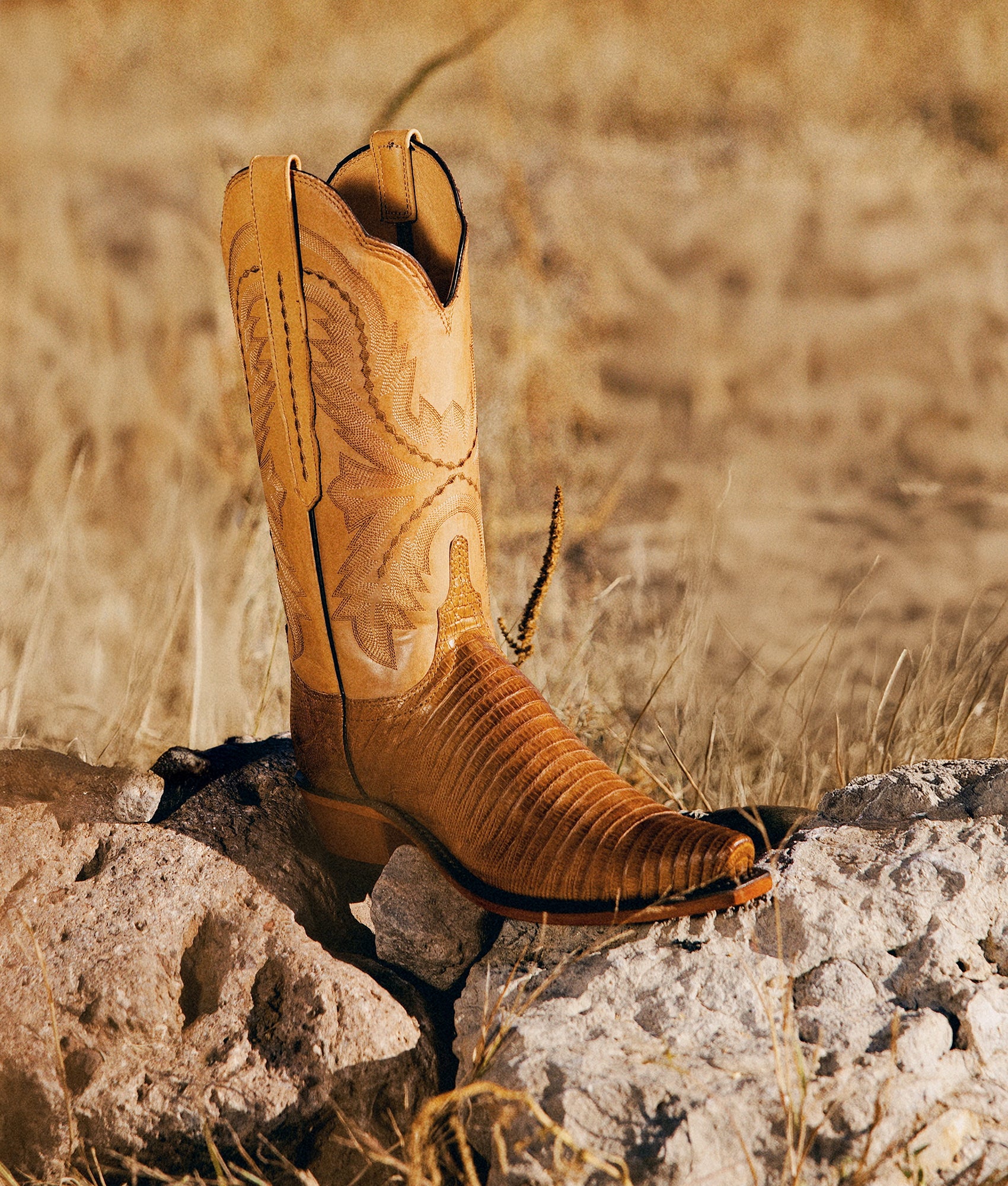 Tilly Exotic :: Tan - Image 9