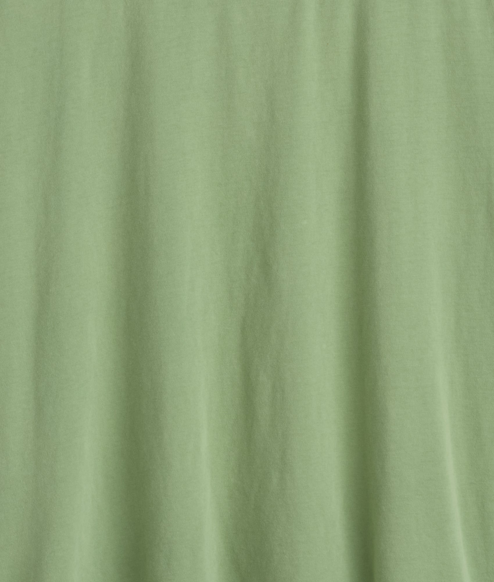 Cody Short Sleeve :: Sage - Image 10