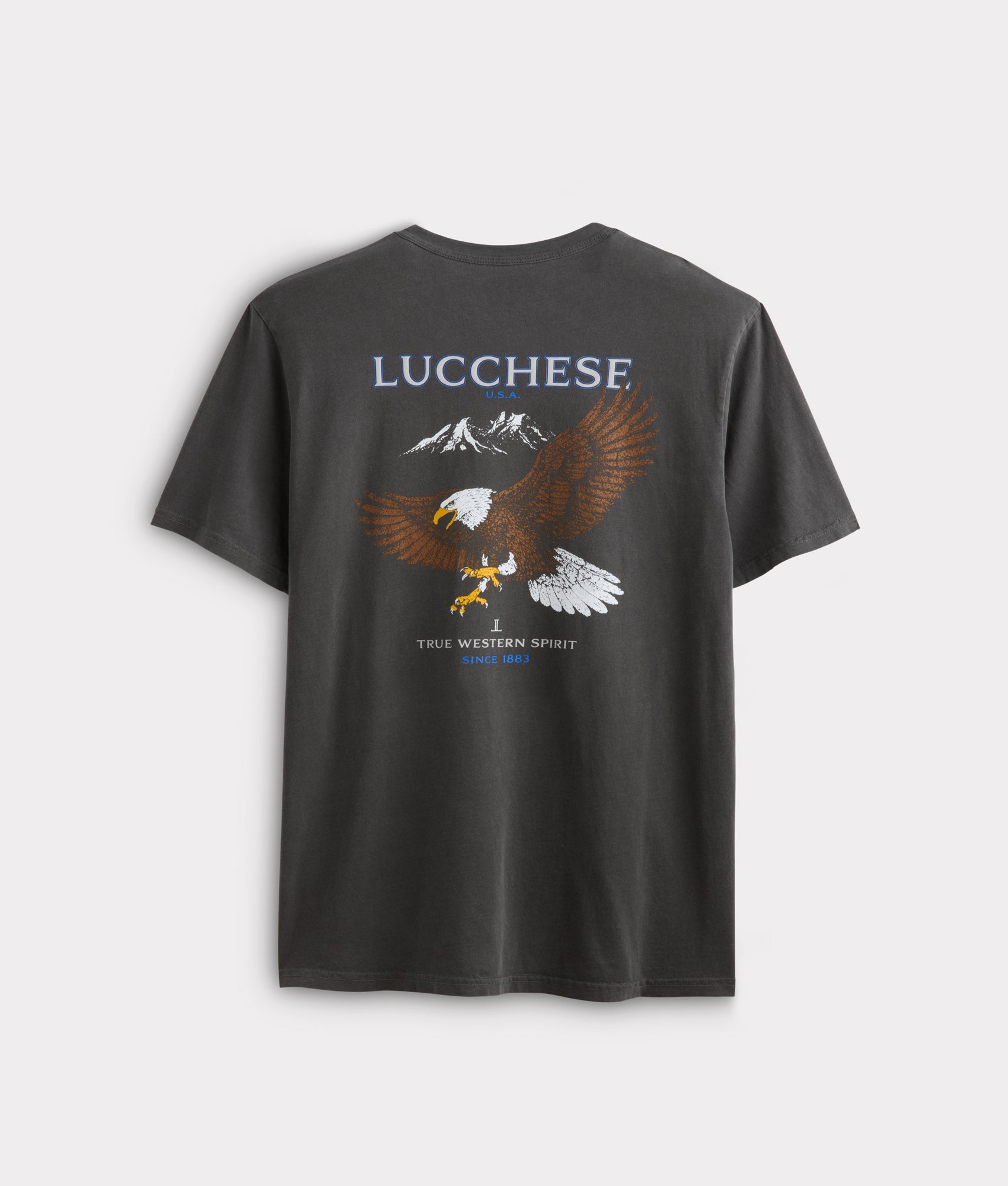 Eagle Flight Tee :: Charcoal - Image 2