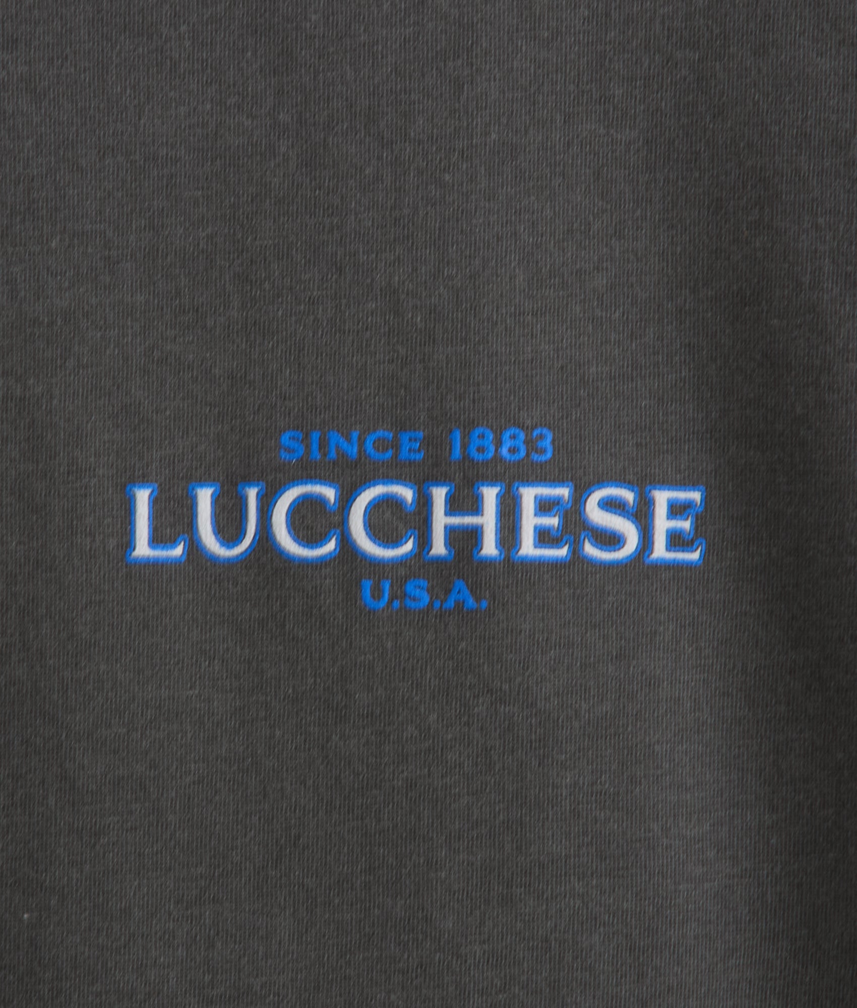 Eagle Flight Tee :: Charcoal - Image 5