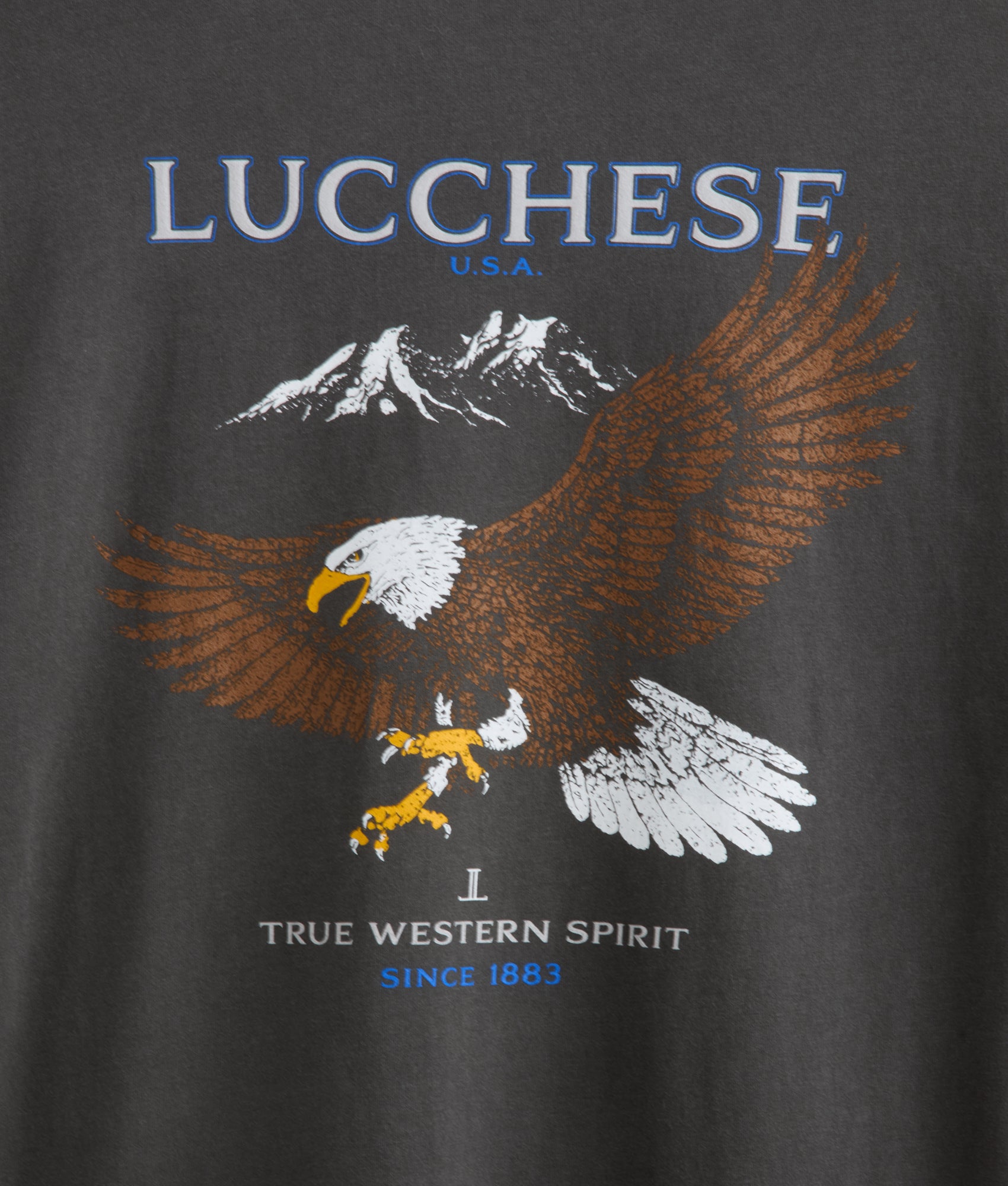 Eagle Flight Tee :: Charcoal - Image 3