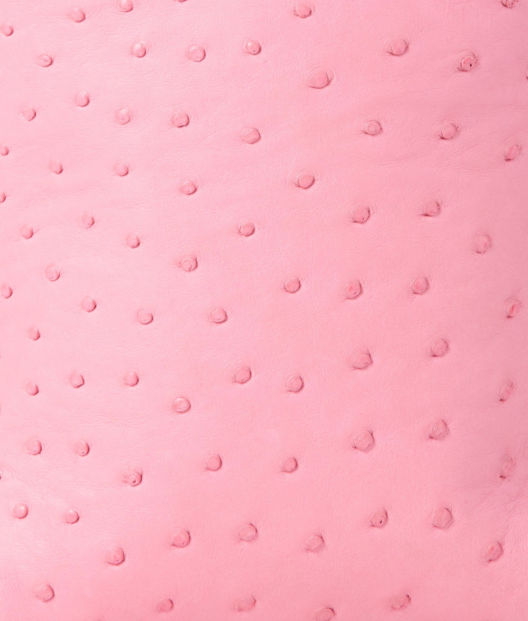 Mini Lola Exotic Shopper :: Pink - Image 11