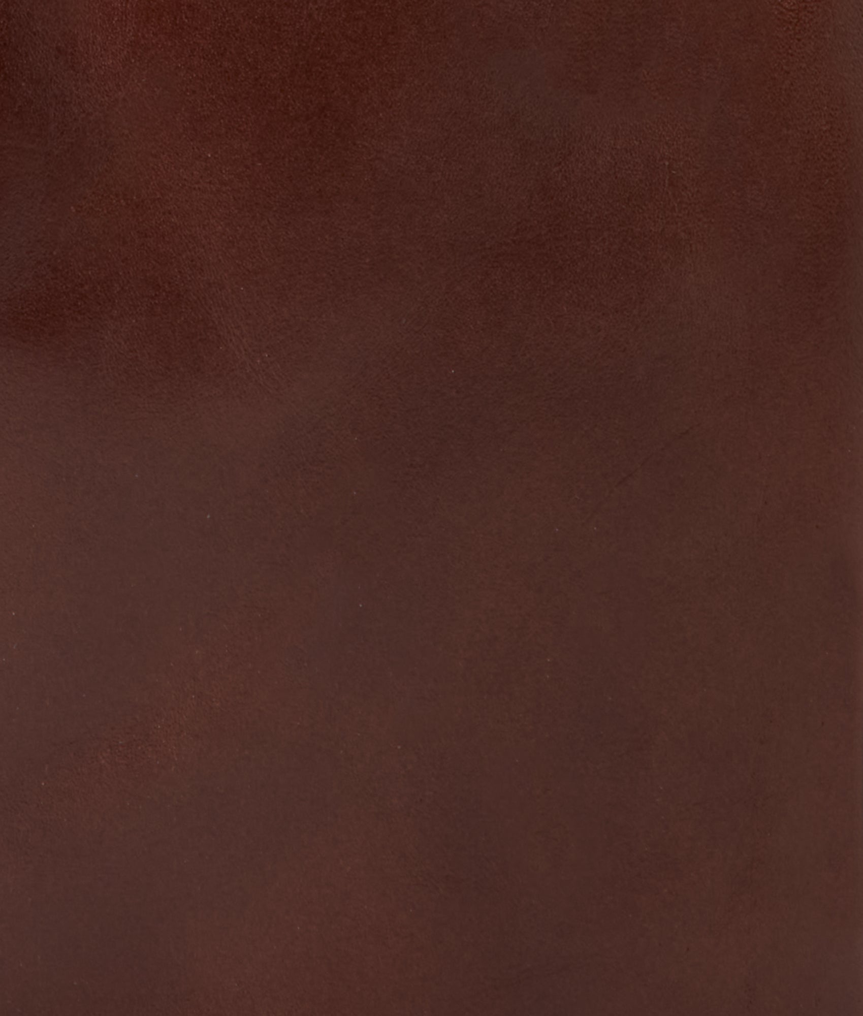 Everyday Backpack :: Brown - Image 10