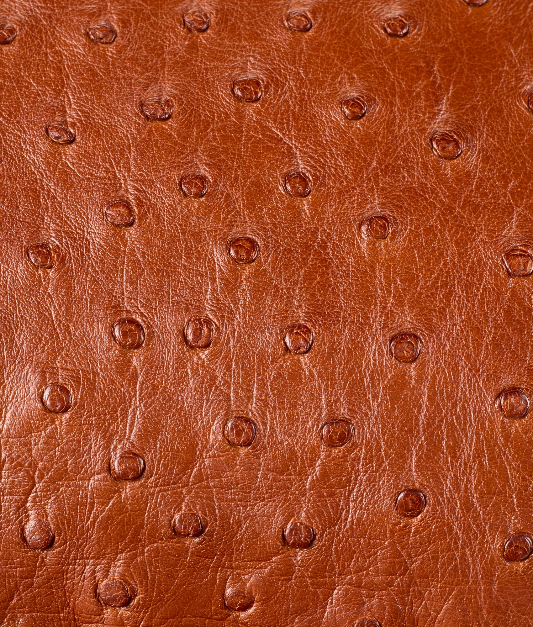 Exotic Cosimo Backpack :: Barnwood - Image 6