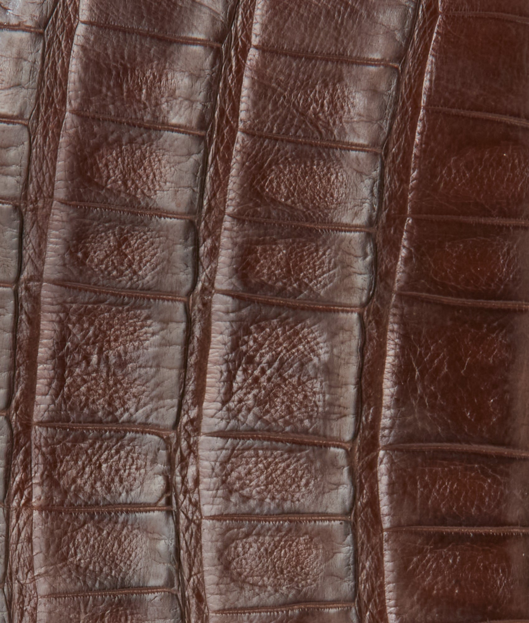 Bifold Wallet – Crocodile :: Sienna - Image 4
